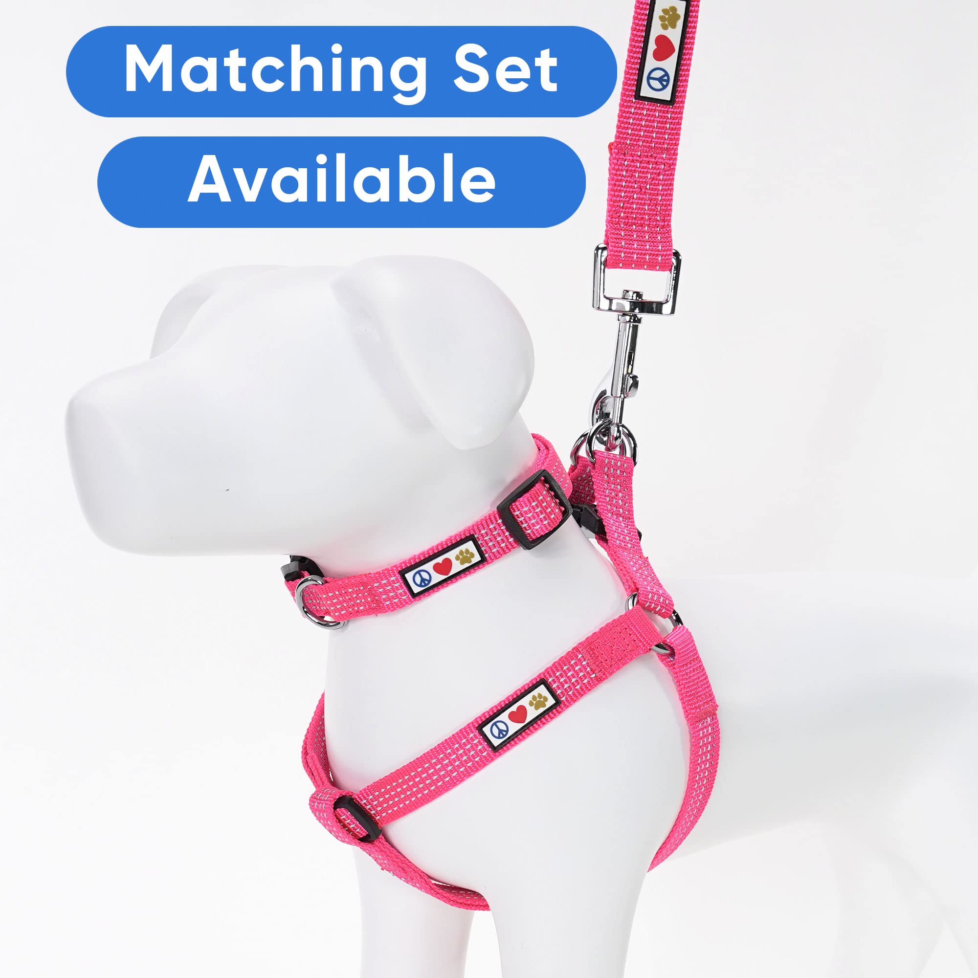 Pawtitas 6 Ft Dog Leash - Comfortable Handle, Highly Reflective Threads, Heavy Duty Training Leash (Medium 6 Ft)