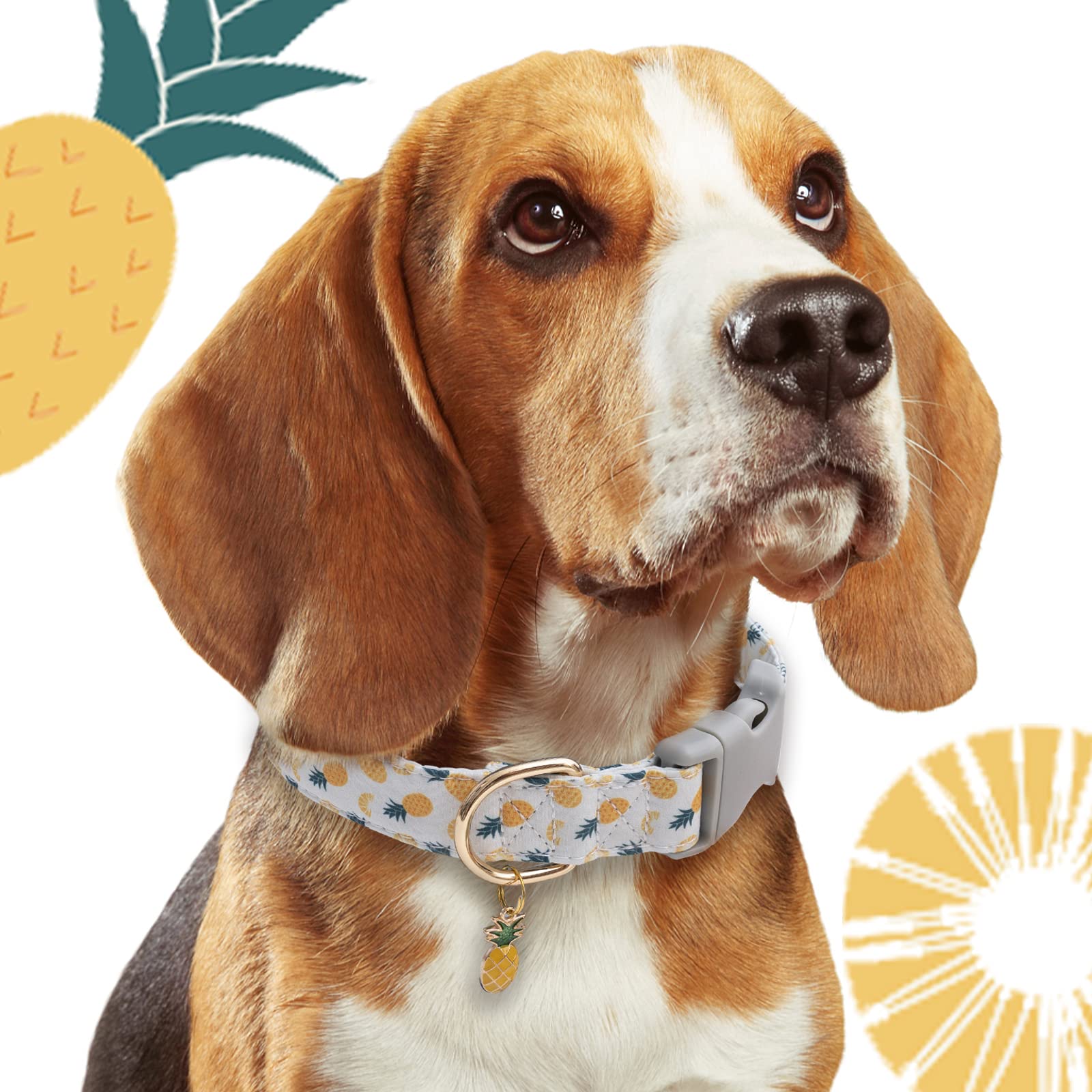 Faygarsle Cute Dog Collar For Girls Boy Dogs Soft Fancy Pet Collar With Pineapple Design Ideal Pink Summer Dog Collar For Small