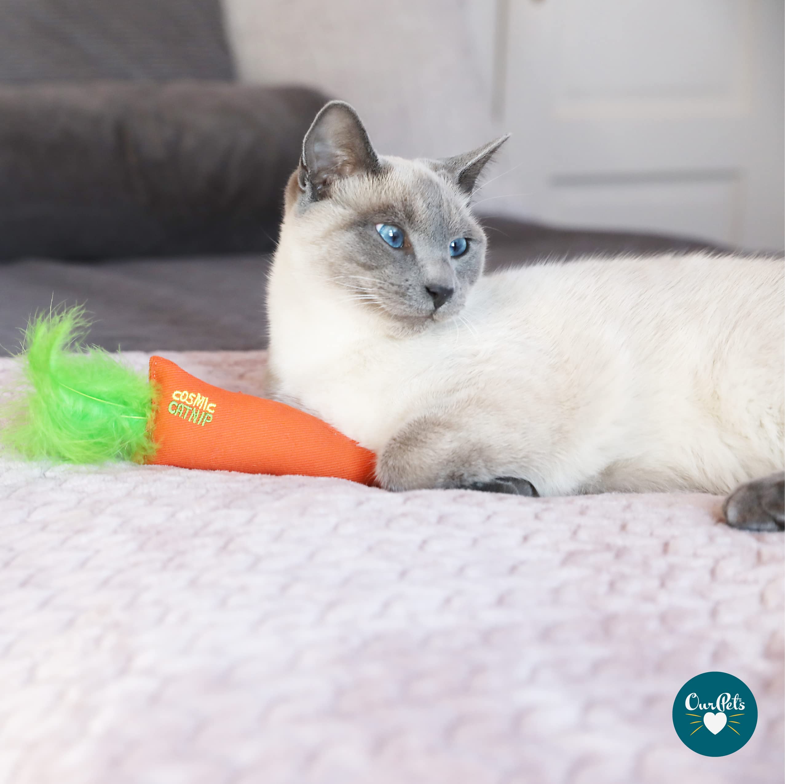 Ourpets Catnip Filled Cat Toy,24 Karat