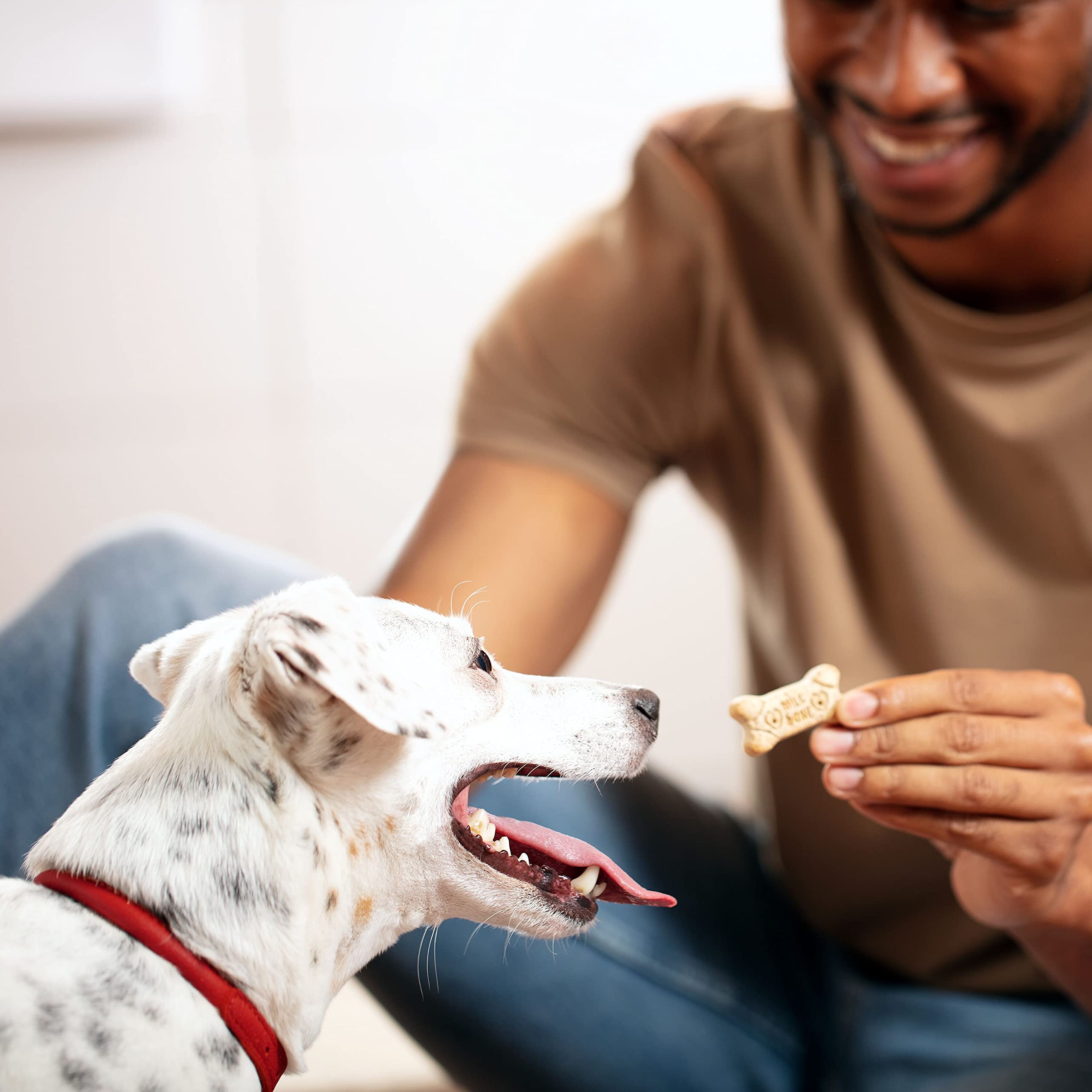 Milk-Bone Minis Original Dog Treats, 15 Ounce (Pack of 6), Crunchy Biscuit Helps Clean Teeth