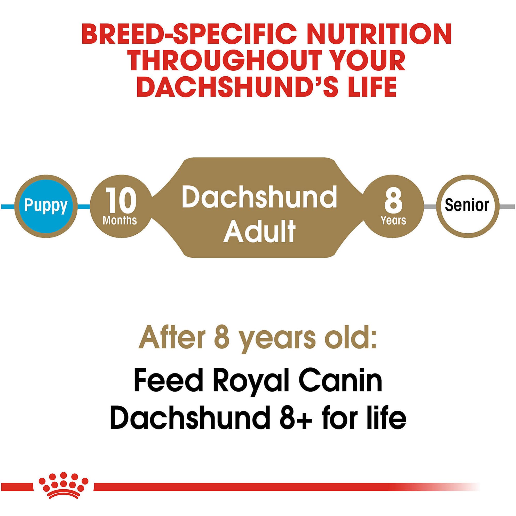 Royal Canin Dachshund Adult Breed Specific Dry Dog Food, 2.5 lb bag