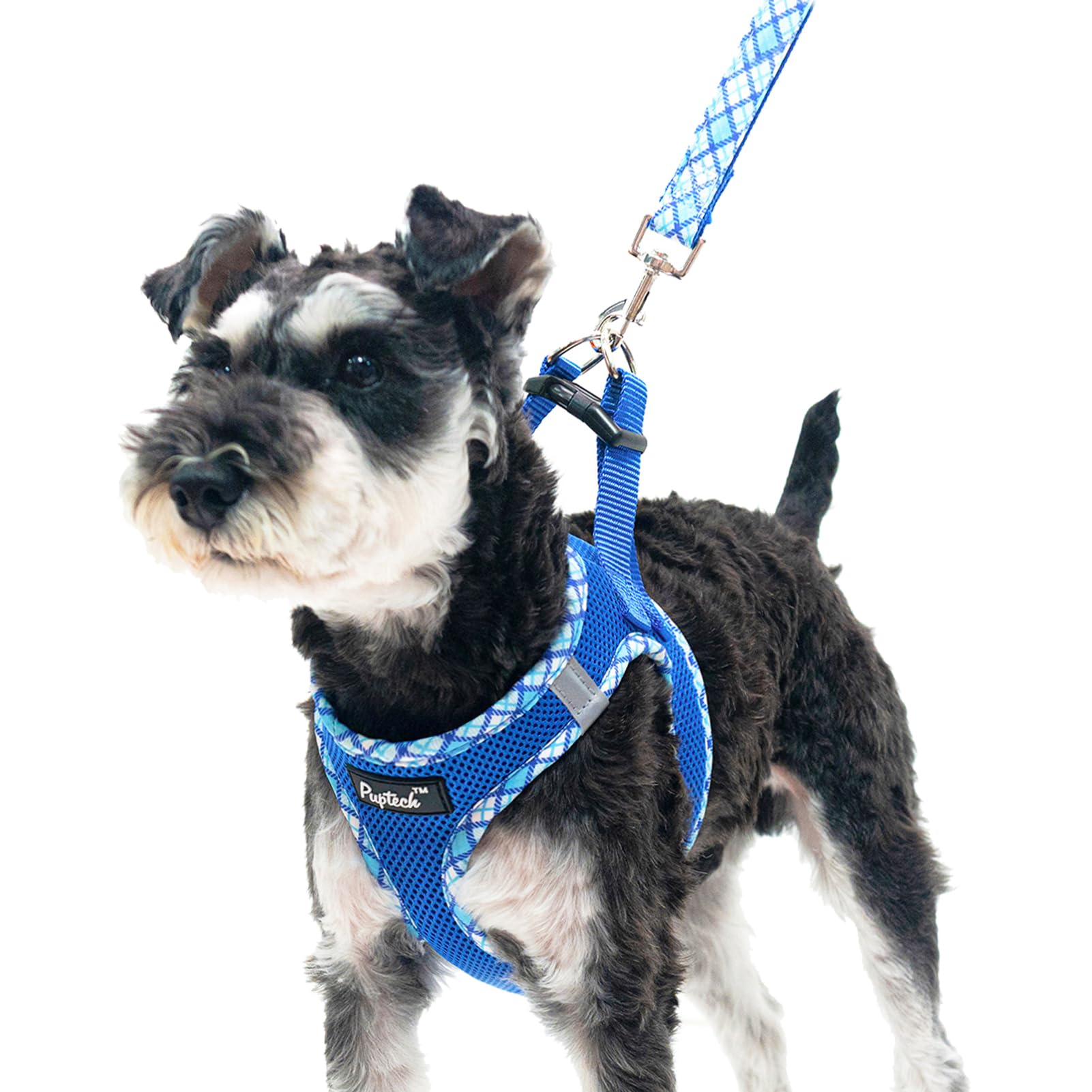 Pupteck Dog Harness And Leash Set For Small Medium Dogs No Pull Step-In Soft Mesh Puppy Cat Vest Harnesses Reflective At Night, 