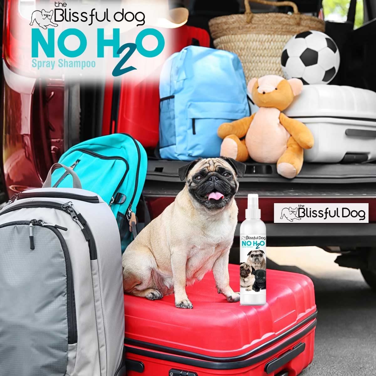The Blissful Dog No H2O Waterless Pet Shampoo, 4 oz.