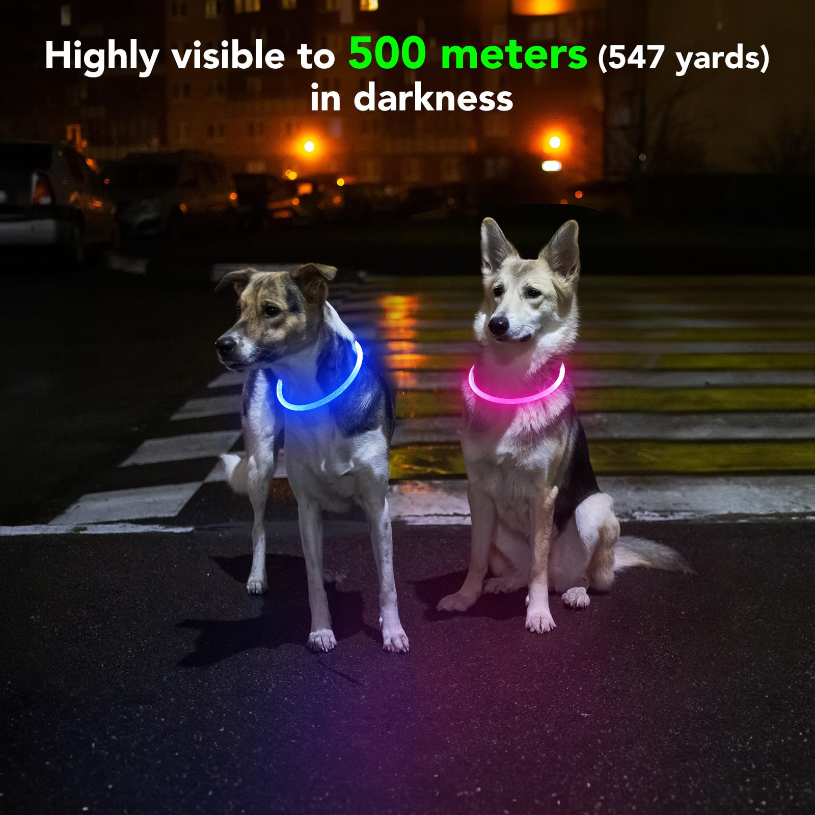 Domagiker Light Up Dog Collar - Waterproof Led Dog Collar Rechargeble, Tpu Cuttable Glow In The Dark Safety Dog Lights For Night