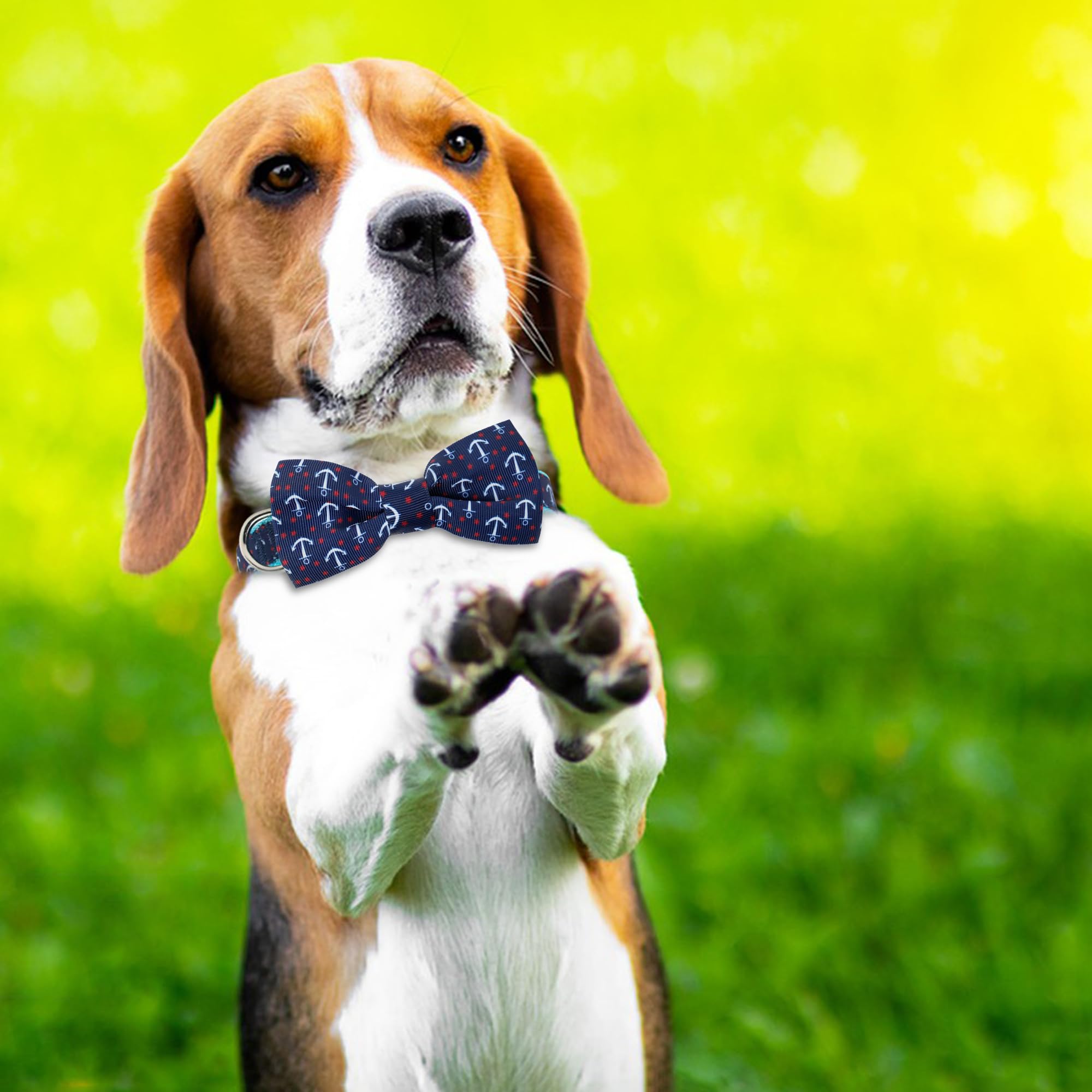 Azuza Anchor Dog Collar With Bow Tie, Soft And Comfortable Adjustable Bowtie For Small Dogs