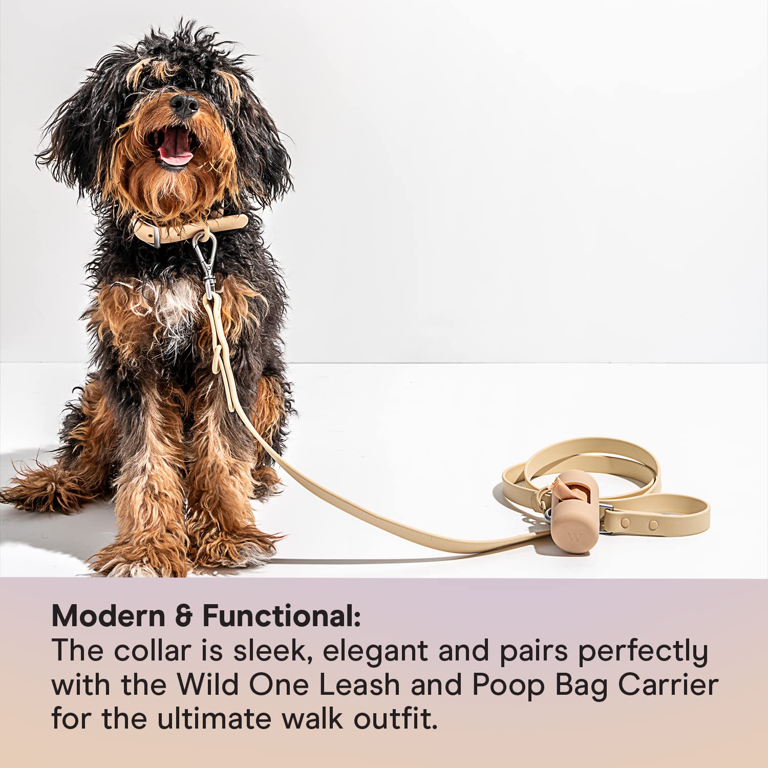 Wild One Dog Collar, The Original Easy-Clean, All Weather Flex-Poly Strap With Metal, Durable, Dirt And Odor Resistant, Size L,
