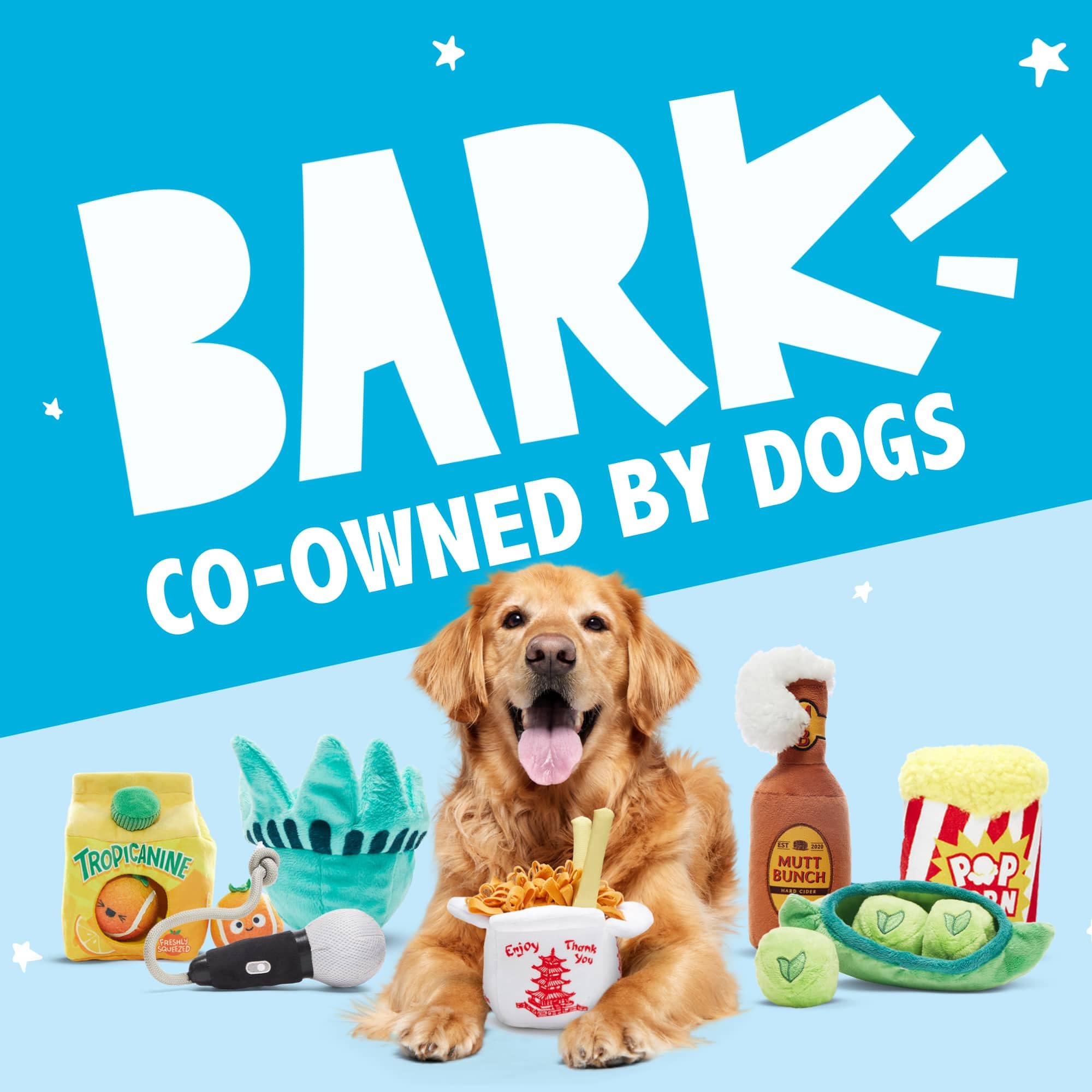 Barkbox Animal Squeakers Multi-Part Dog Toy - 4-in-1 Plush Toy Set with Treat-Hiding Crinkle Box & Three Squeaky Cookies - Fun P