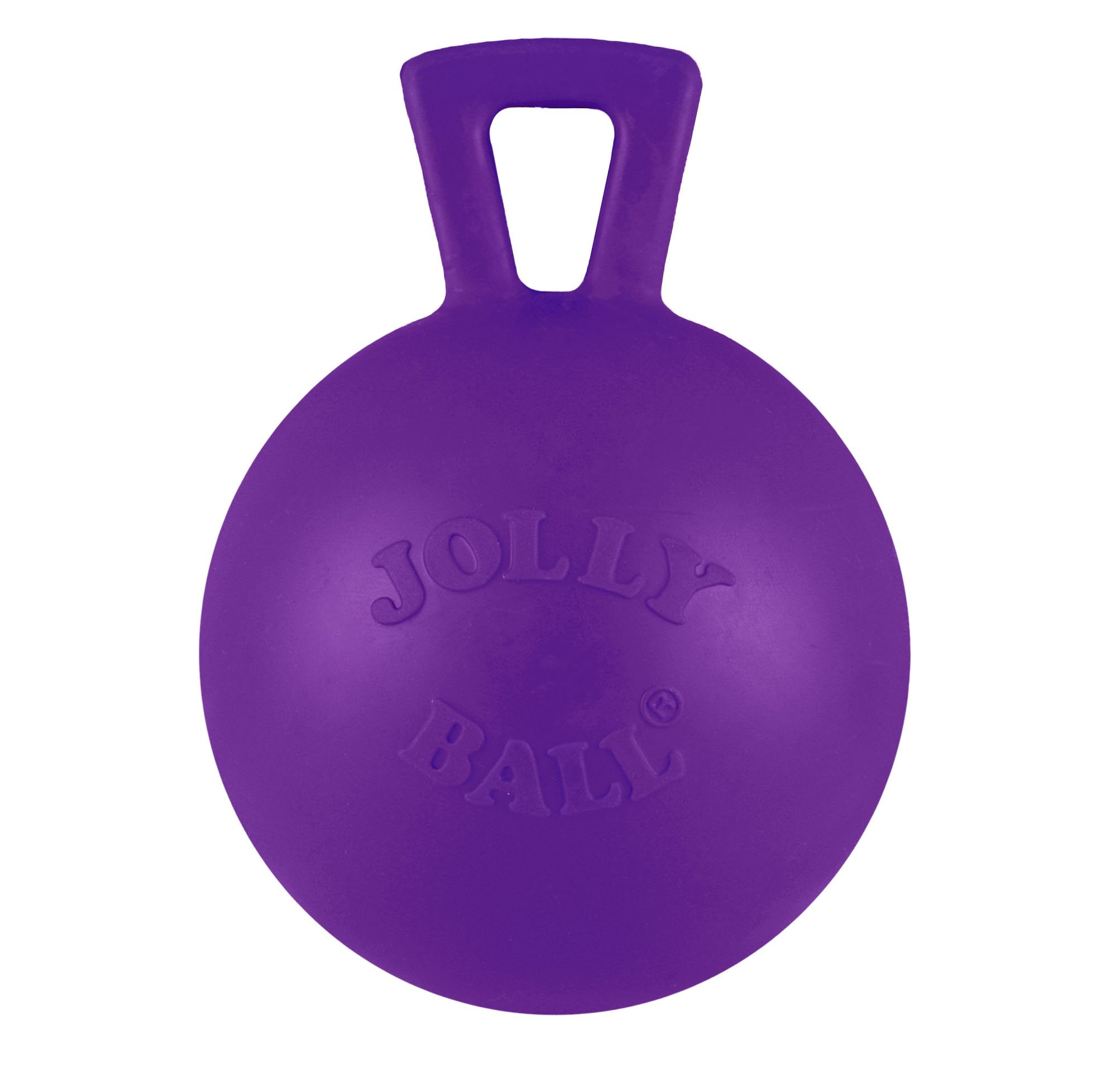 Jolly Pets Tug-N-Toss Heavy Duty Dog Toy Ball With Handle, 4 Inches/Petite, Purple (404 Pr)