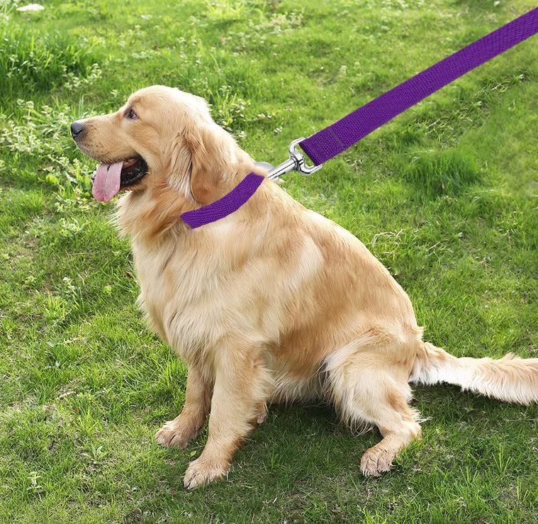 Taian 4Ft/5Ft/6Ft Strong Dog Leash, Nylon Dog Leashes For Small Medium Large Dogs (Purple, 1 In X 10 Ft)