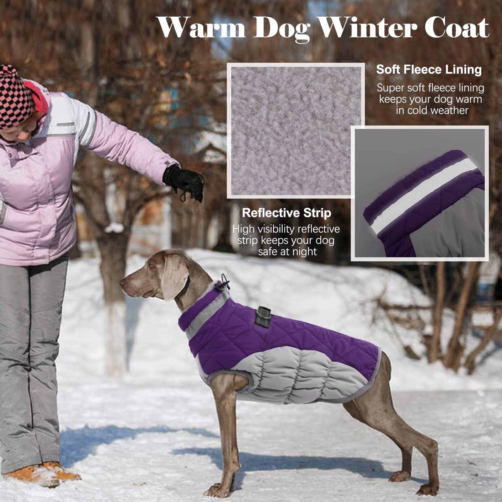 LeLePet Warm Dog Winter Coat, Windproof Reflective Vest, Thick Fleece Lining, Large, Purple