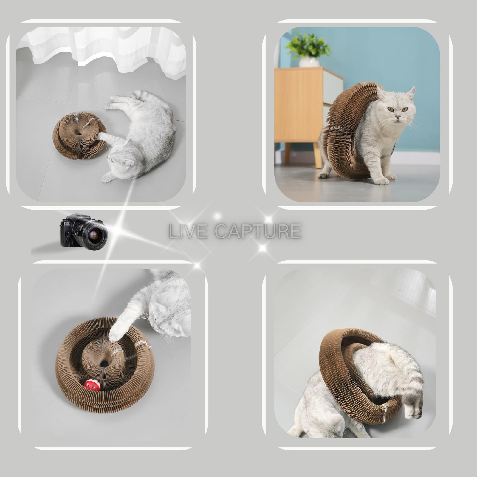 Hupirct Magic Organ Cat Scratcher Board, Cardboard Cats Toy With Bell, Magic Organ Toy, Recyclable And Durable, Suitable For Ind
