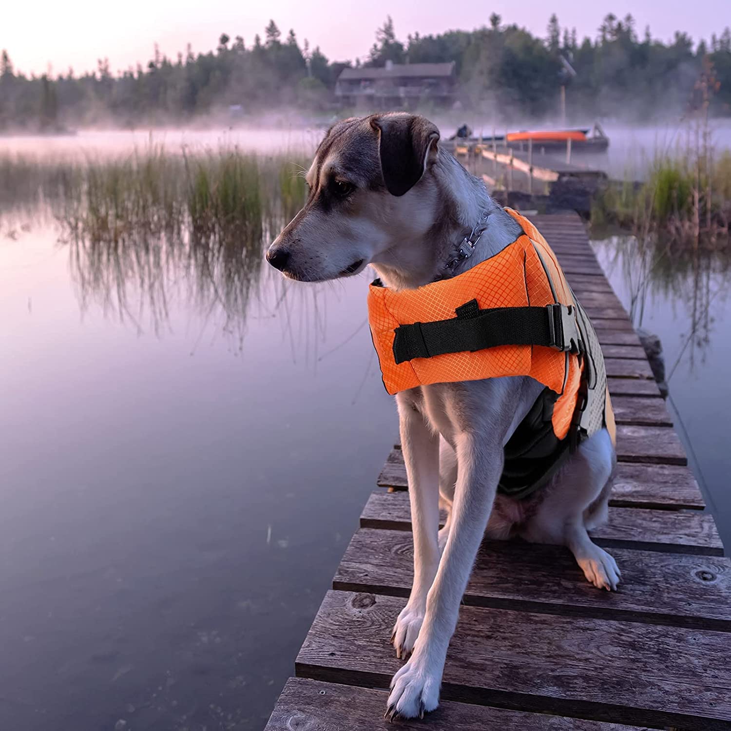 Dog Life Jacket Swimming Vest Lightweight High Reflective Pet Lifesaver With Lift Handle, Leash Ring Orange,M