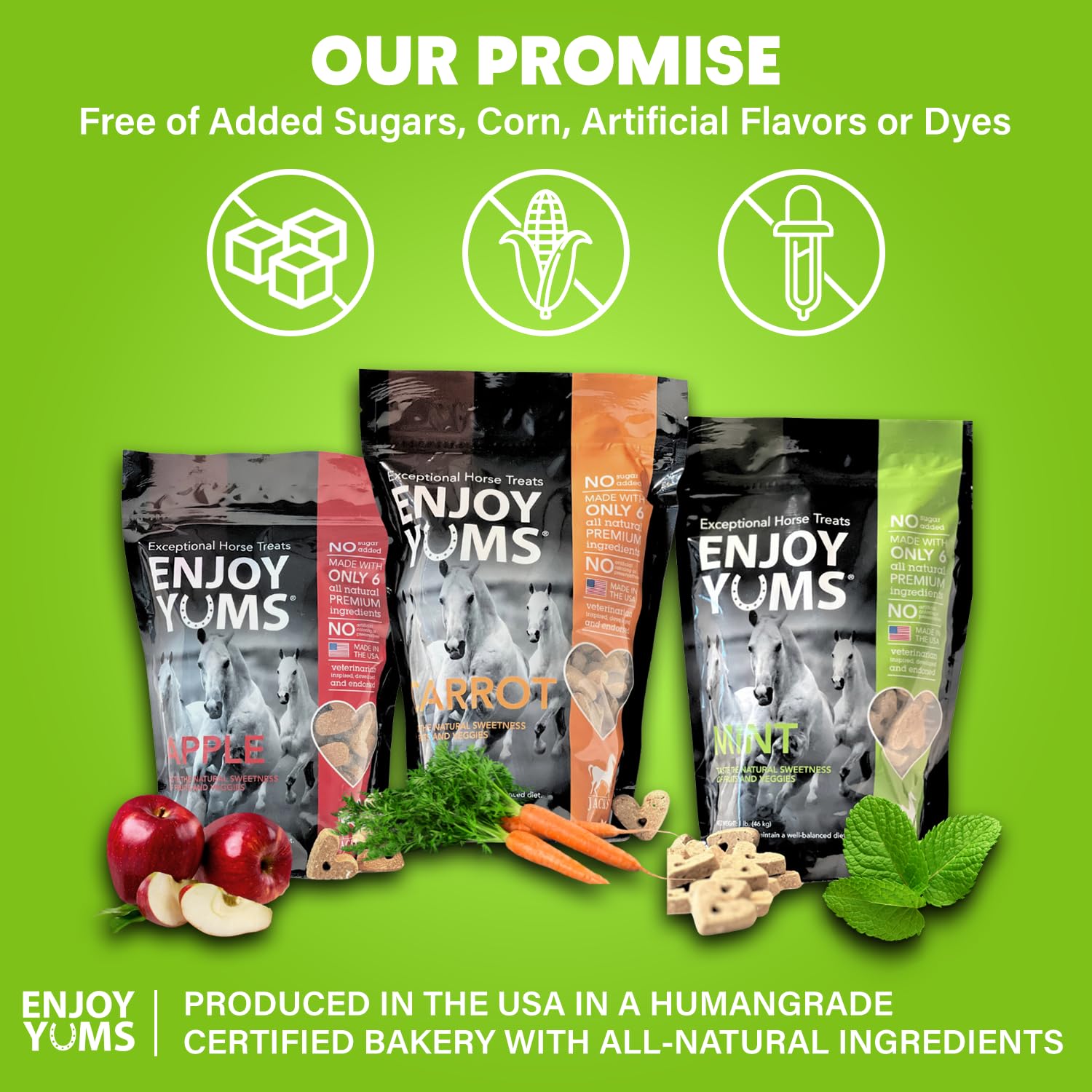 Enjoy Yums Horse Treats (5LB, Mint)