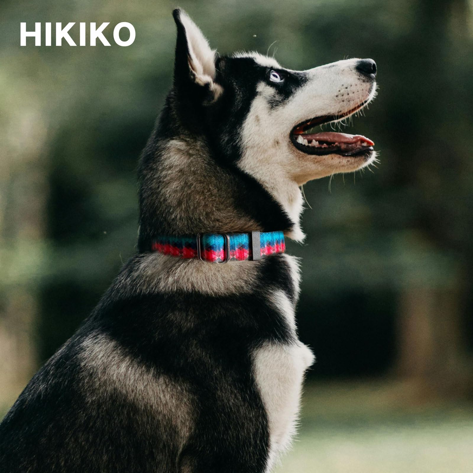 Hikiko Martingale Collar For Dogs With No Buckle Geometric Red Green Dog Collars For Large Dogs,Gradient,L