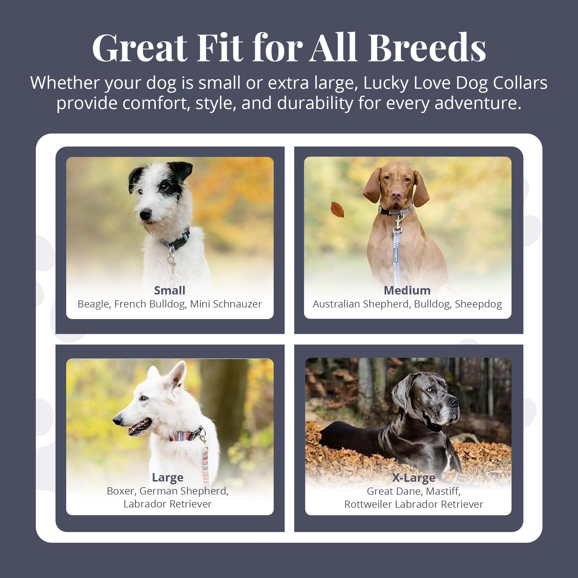 Lucky Love Dog Martingale Collar, Premium No Slip Martingale Collar For Medium Dogs, Great For Whippets, Greyhounds, And More (C