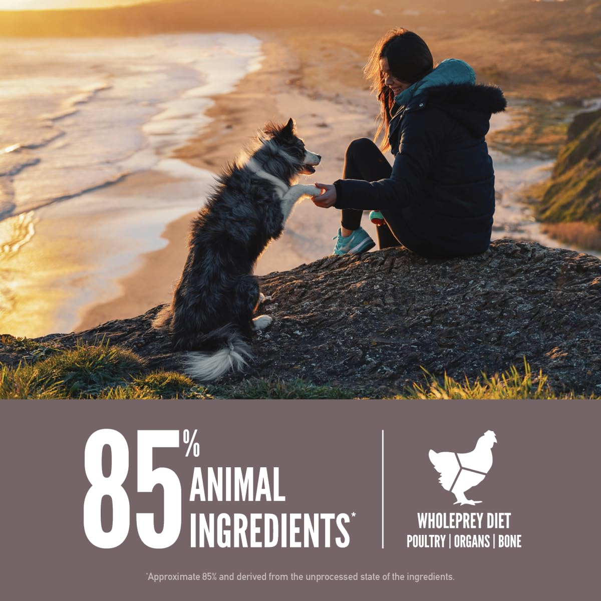 ORIJEN Fit & Trim Dry Dog Food, Grain Free Dry Dog Food, Fresh or Raw Ingredients, 4.5lb