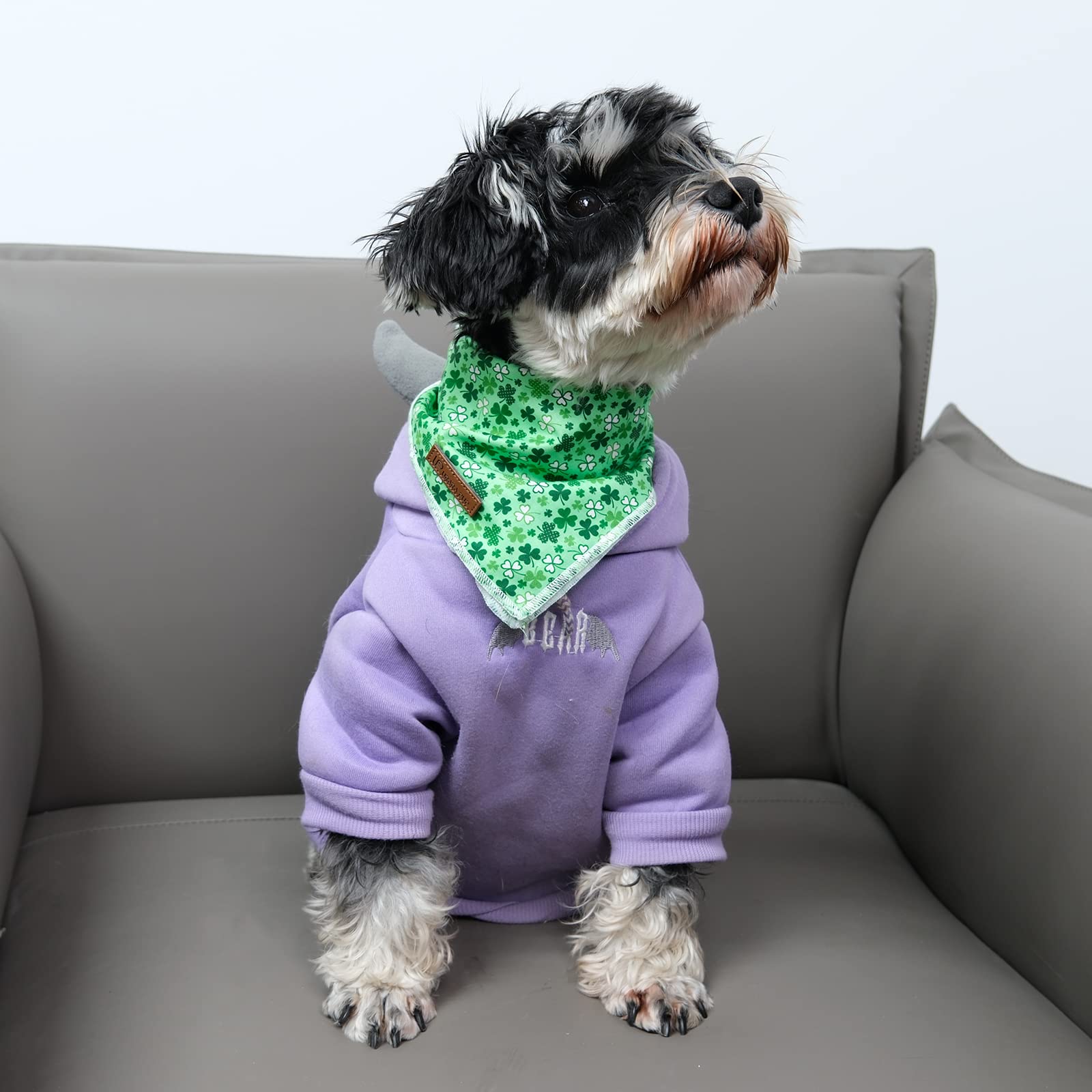 Up Urara Pup St. Patrick'S Day Dog Bandana, Shamrock Triangle Bid Scarf For Small Medium Dog, Cotton Pet Kerchief For Girl Boy Dogs Or Cats, Cute Spring Dog Bandana, Puppy Green Dog Bandana