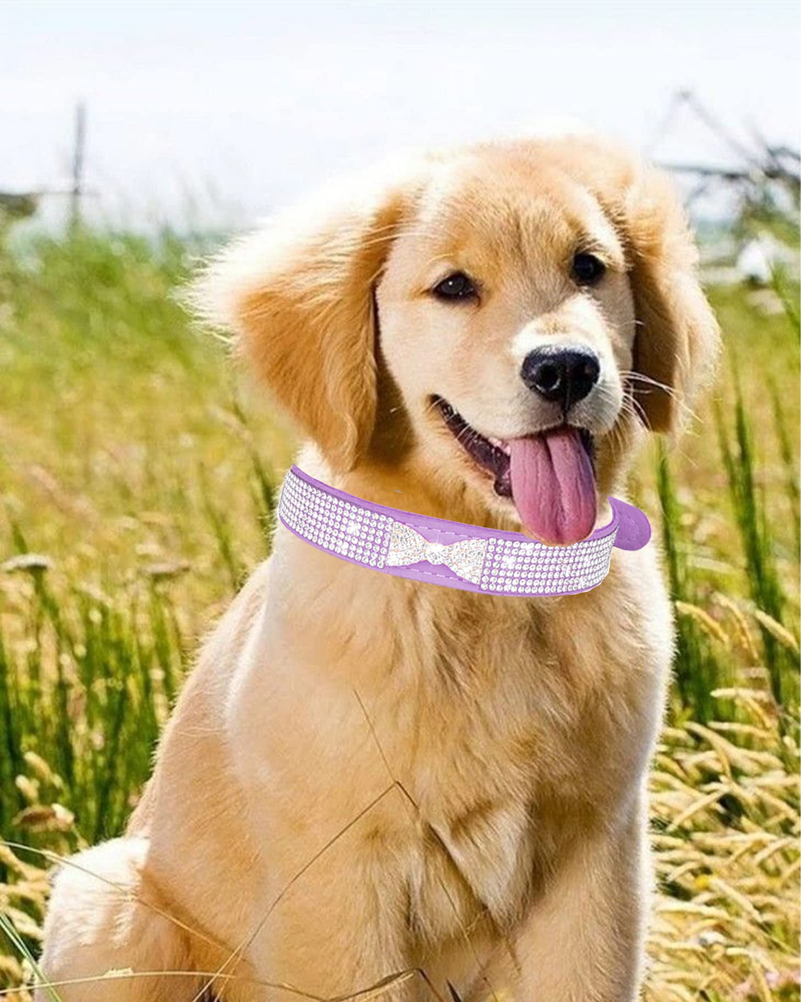 Dog Collar For Small Dogs, Adjustable Leather Suede Bling Dog Collars,Pink Dog Collar Cat Collar, Rhinestone Dog Collar (Xs, Bla