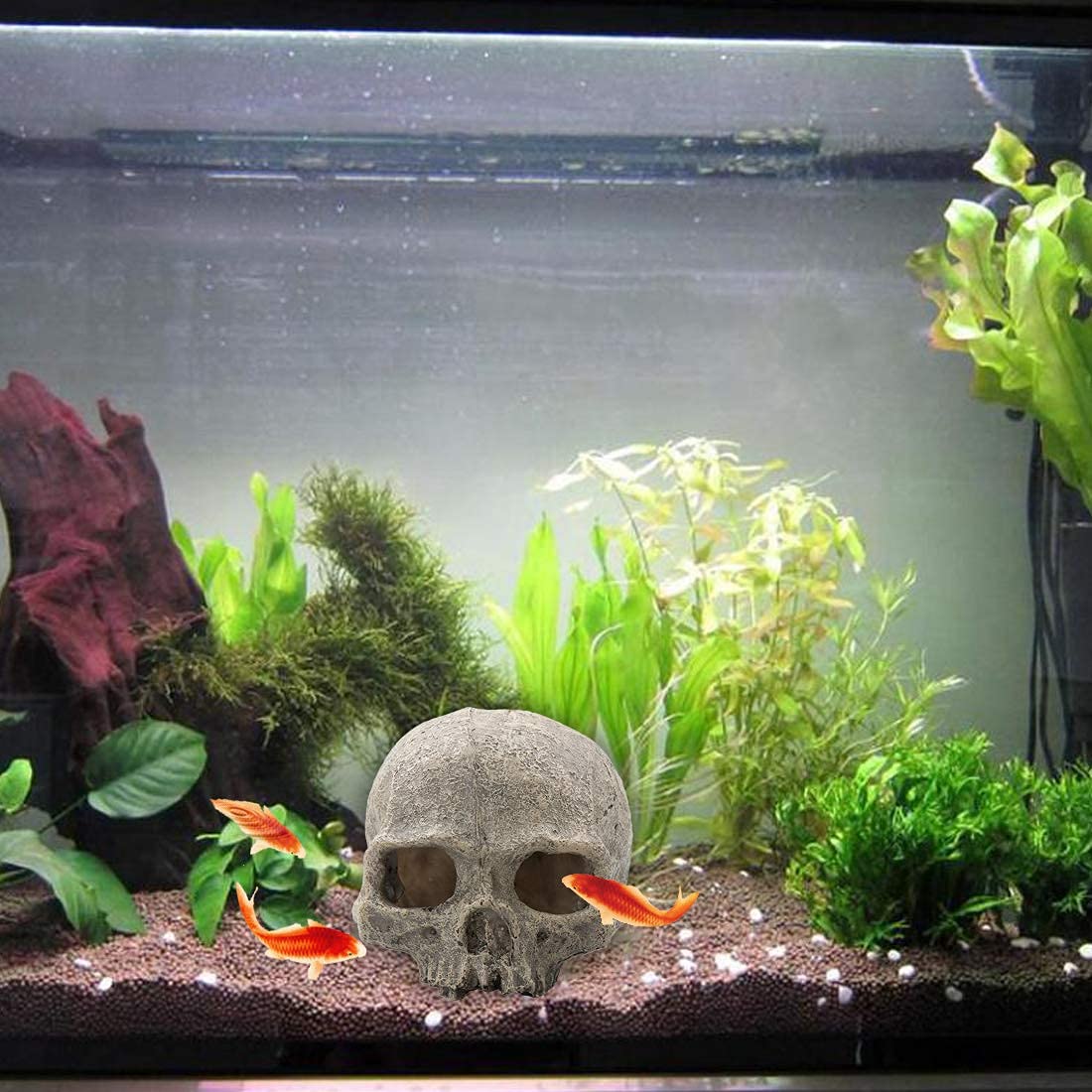 Tfwadmx Aquarium Skull Decor, Resin Fish Tank Decorations Cave Betta Fish Hiedout Reptile House For Small Fish,Shrimp