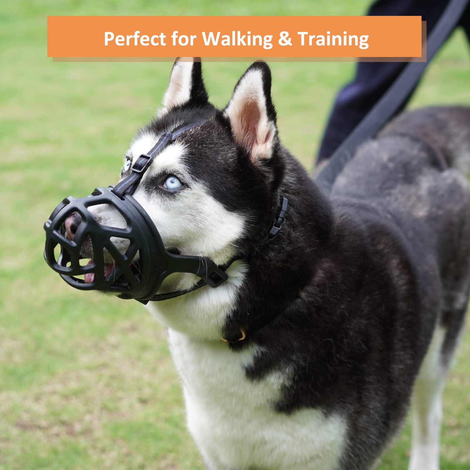 Barkless Dog Muzzle, Basket Muzzle For Biting, Chewing And Scavenging, Humane Cage Mouth Cover, Perfect For Grooming And Training Small, Medium, Large Aggressive Reactive Dogs (Xs, Black)