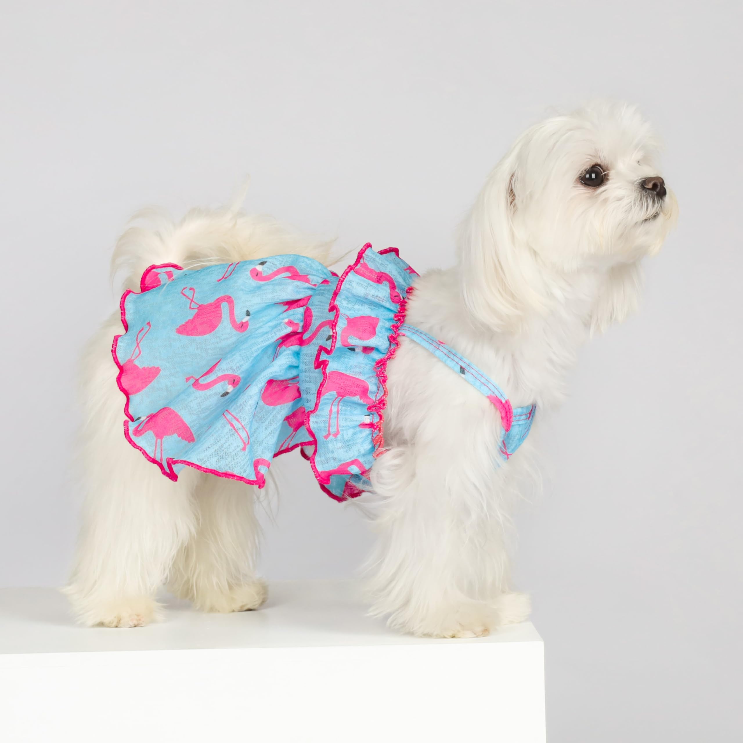 Fitwarm Flamingo Dog Dress - Summer Ruffled Hawaiian Dog Sundress, Girl'S Pet Outfit, Blue & Pink, Xxs