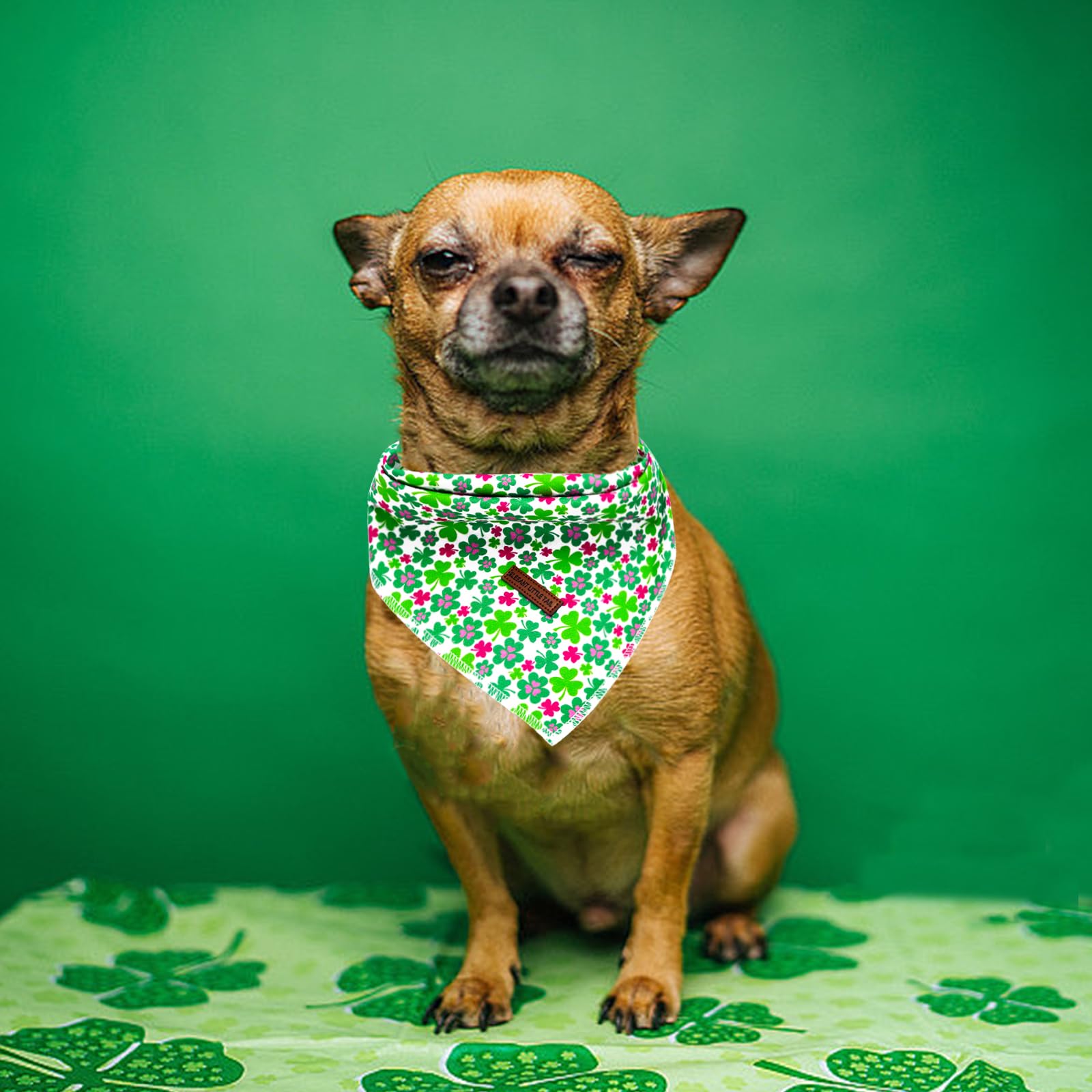 Elegant Little Tail Dog Bandanas - 1Pack Lucky Colver Pet Gift Washable Dog Scarf Holiday Girl Boy Square Dog Bib Kerchief Scarf
