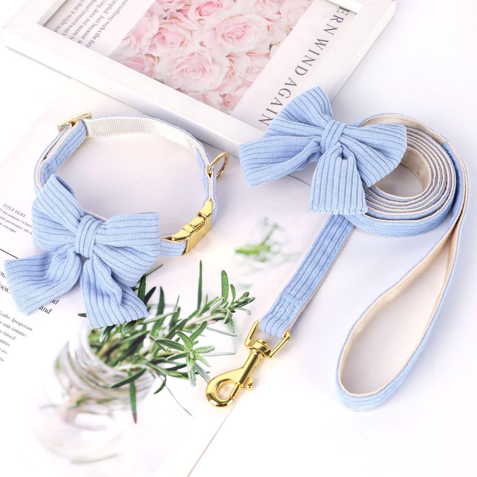 Didog Dog Collar And Leash Set With Bowtie, Girl Dog Collars Metal Buckle Adjustable For Small Medium Dogs(Blue, M)