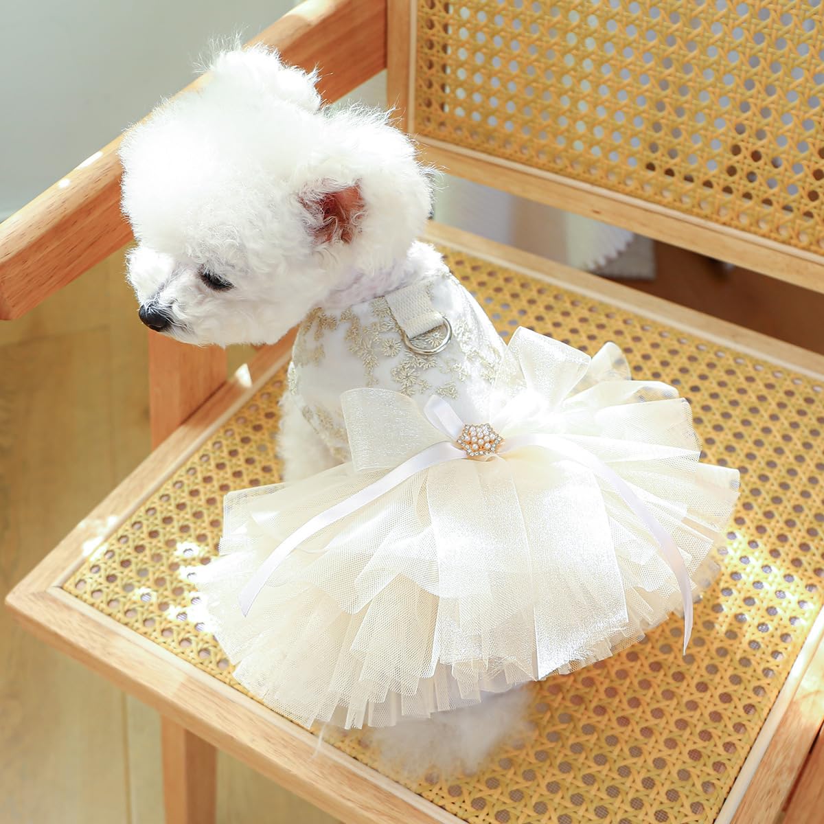 Clopon Dog Dresses For Small Dogs Girl Clothes Female Yorkie Dresses Teacup Puppy Clothes Extra Small Puppy Outfit Xs