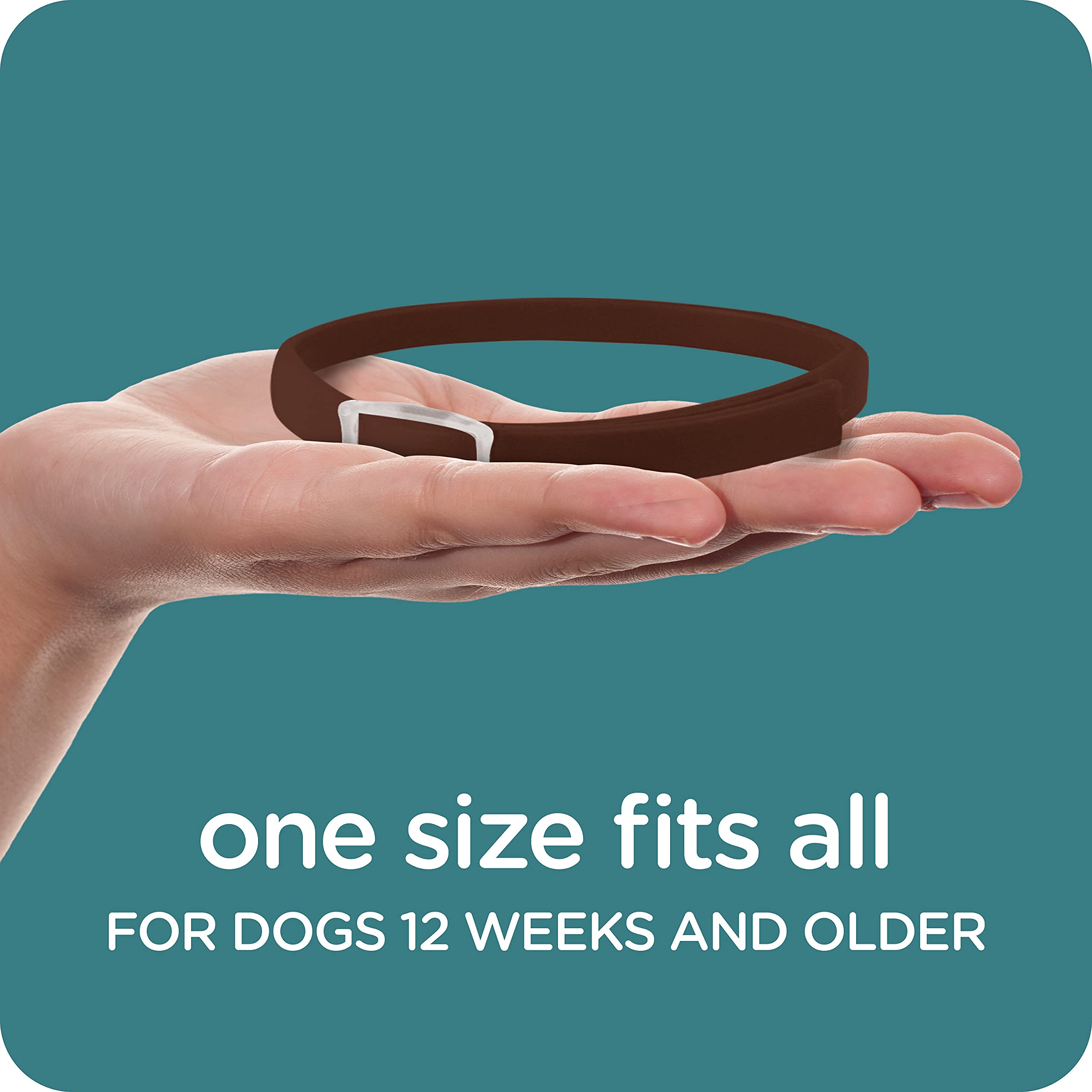 SERGEANT'S Guardian Flea & Tick Collar for Dogs, All Life Stages, Model 00126, 1 Count