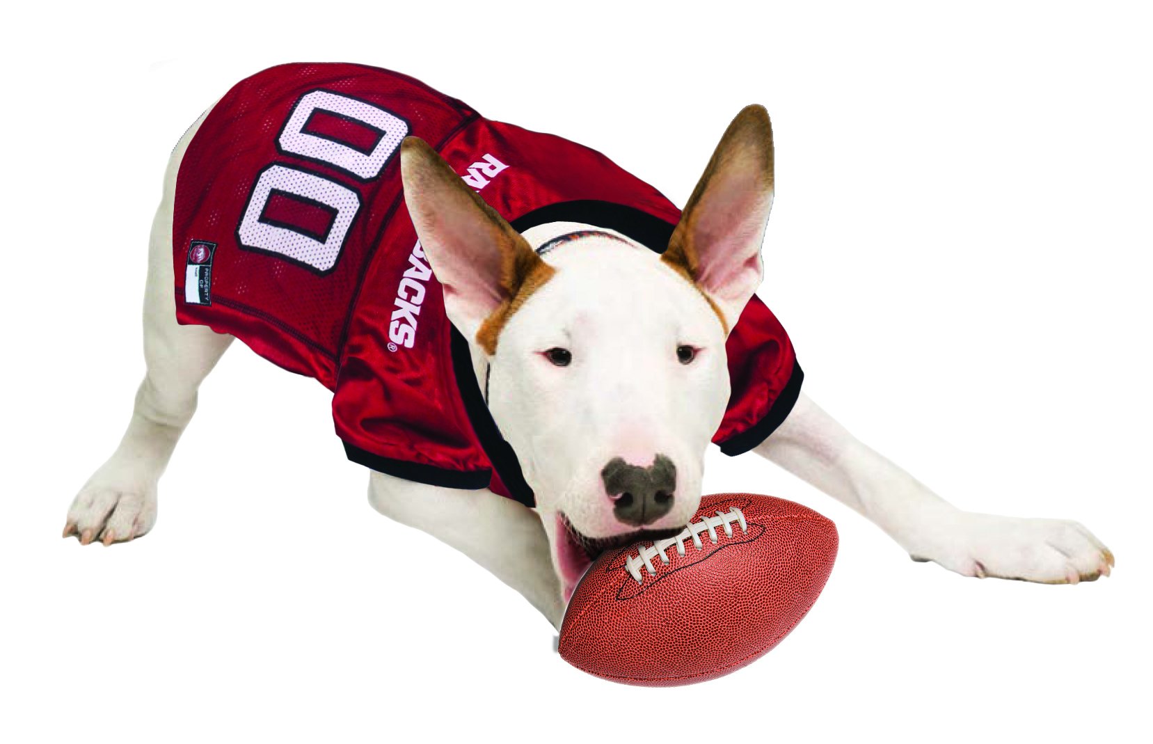 Pets First NCAA College Arkansas Razorbacks Mesh Jersey for DOGS & CATS, Medium. Licensed Dog Jersey with your Favorite Football