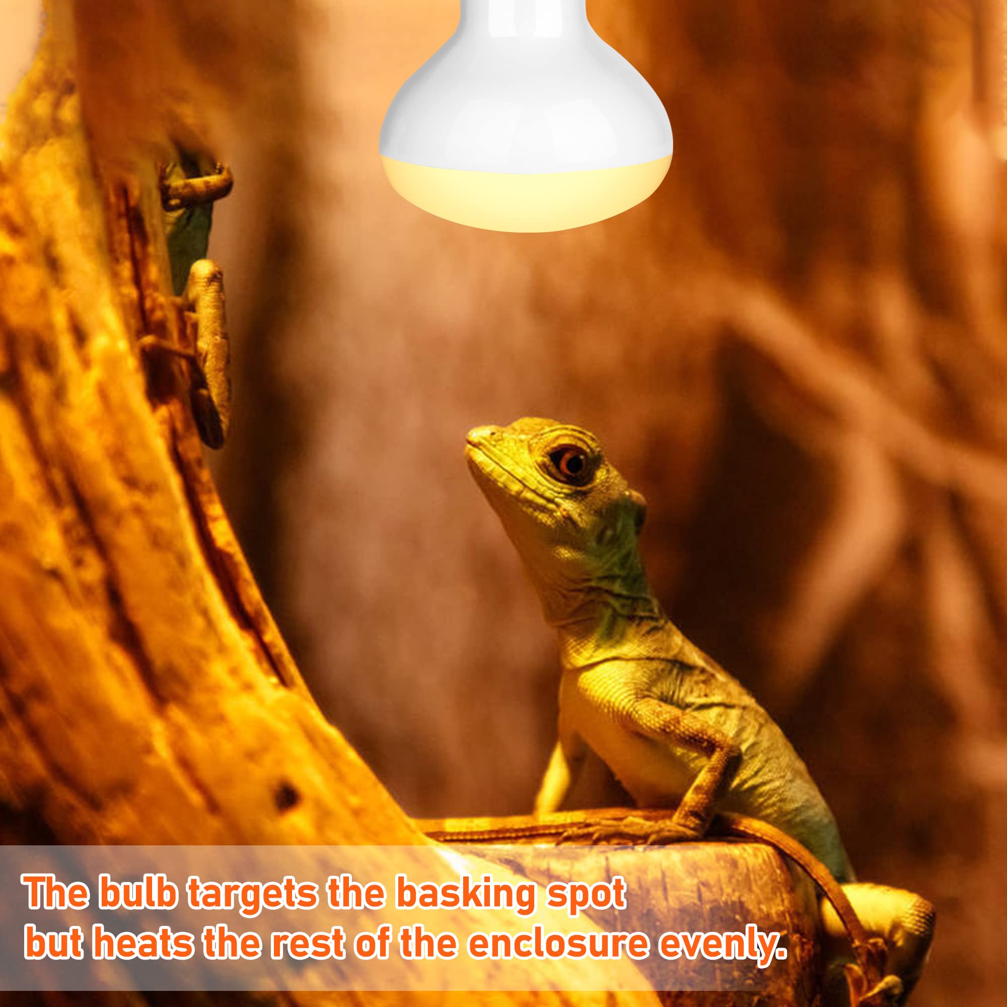Neptonion 2Pack Reptile Heat Lamp 75W Uv Heat Light Bulb, Basking Daylight Spot Bulb For Lizard, Tortoise, Bearded Dragon (E26,110V)