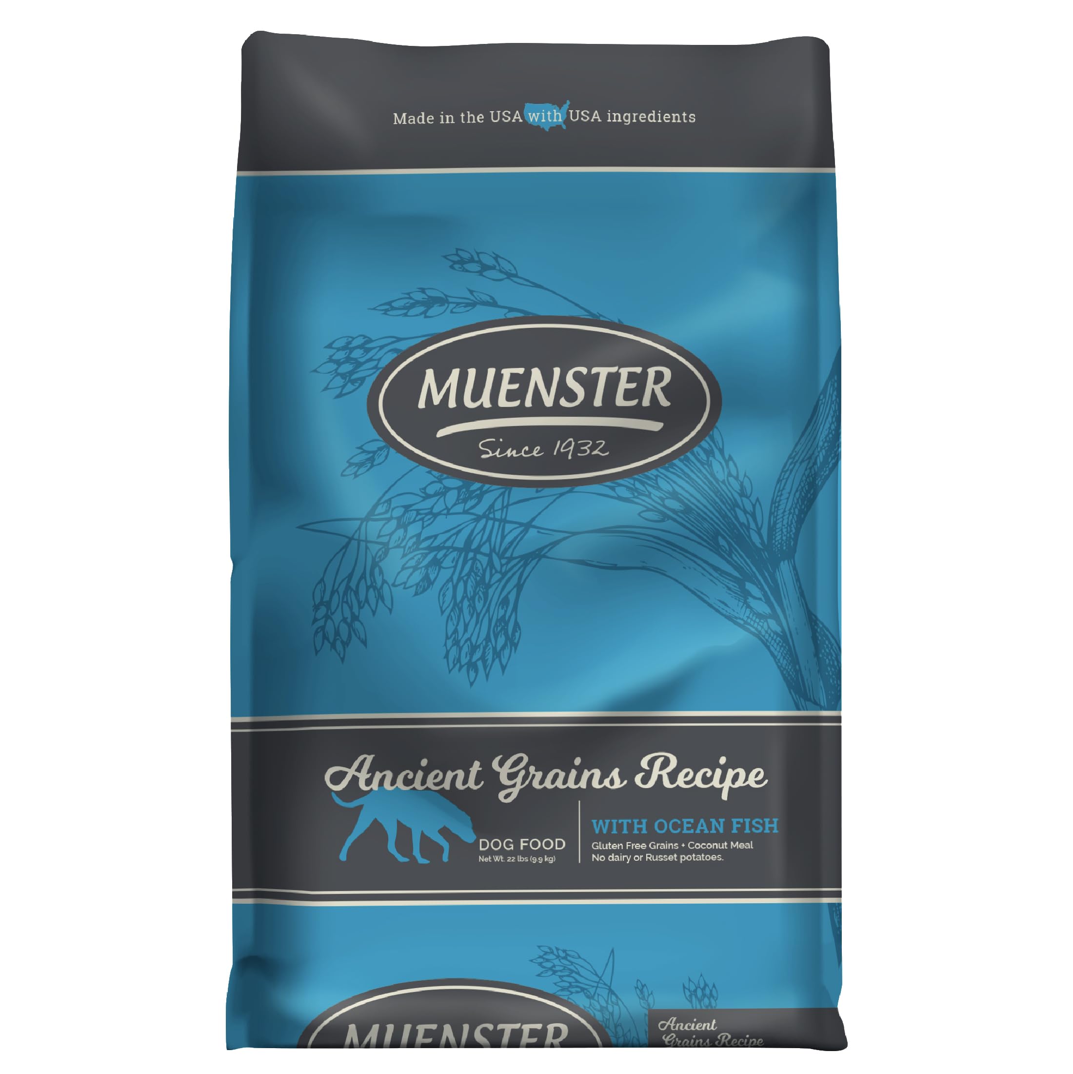 Muenster Ancient Grains Ocean Fish Dry Dog Food, 22lb - Gluten-Free, High Protein, Digestive Support