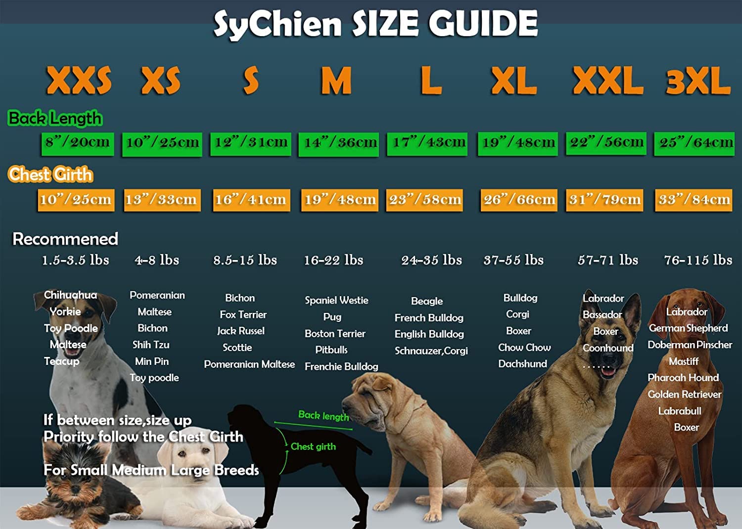 Sychien Dog Blank Blue Shirt,Boy Girl Dogs Cats Tee Shirts,Plain Extra Small Chihuahua T-Shirt,Xs Blue Royal