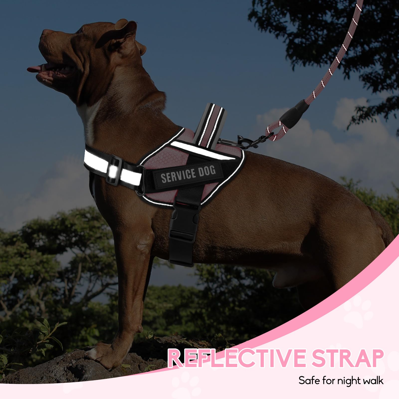 Service Dog Vest Harness And Leash Set, Animire In Training Harness With 8 Dog Patches, Reflective Leash With Soft Padded Handle For Small, Medium, Large, And Extra-Large Dogs(Pink,L)