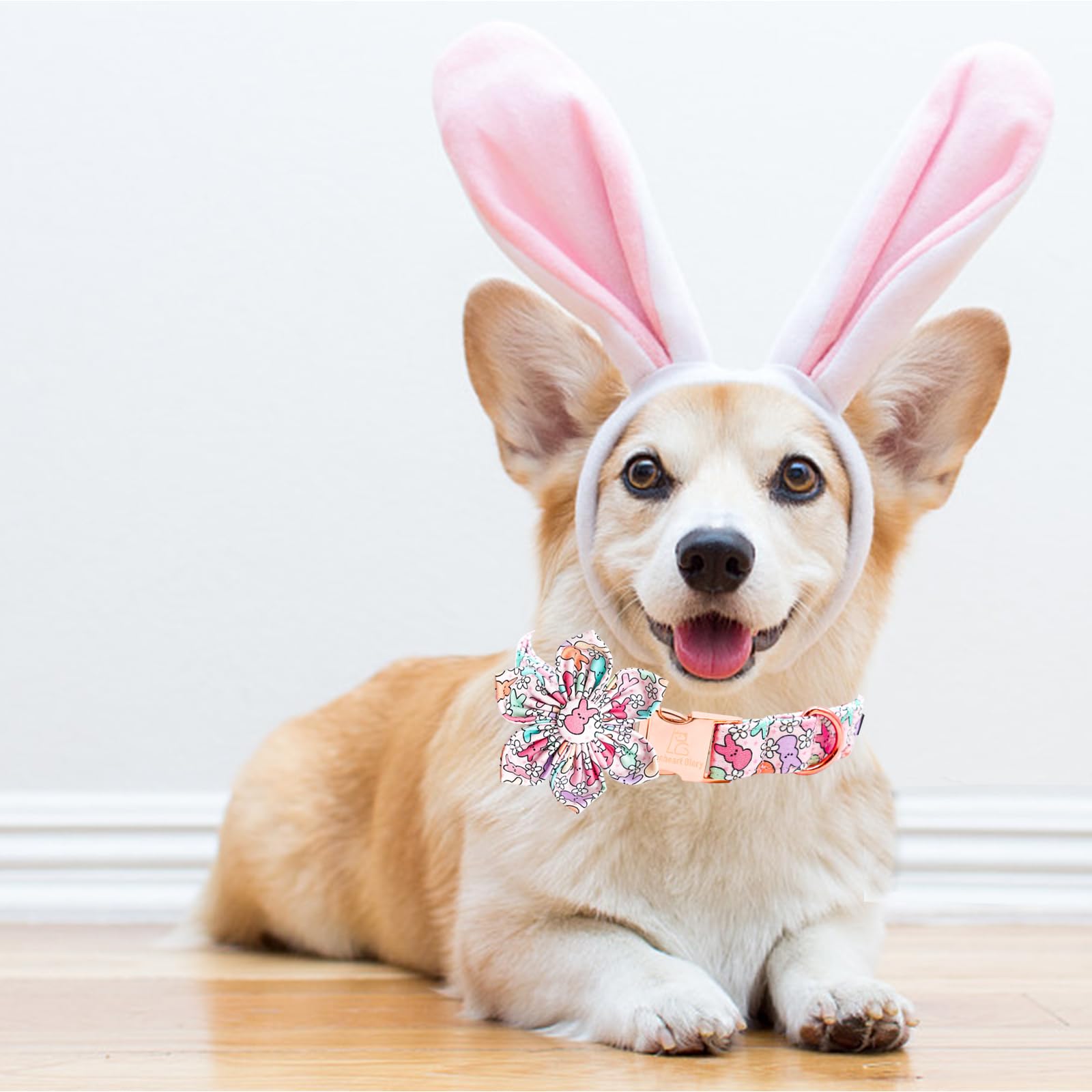 Lionheart Glory Easter Day Flower Dog Collar For Medium Dogs, Rabbits - Colorful Spring Collar With Flowers
