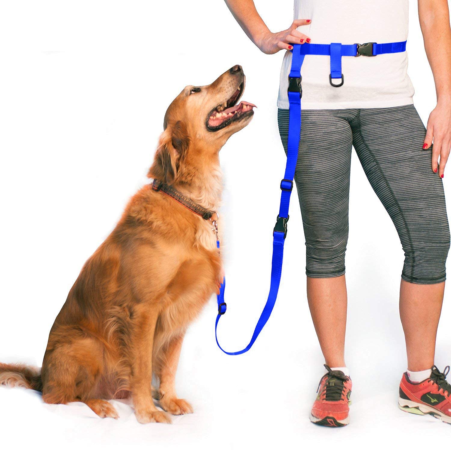 The Buddy System Accessories For Our Dog Leashes Made In Usa (Extender, Regular Dog Blue)