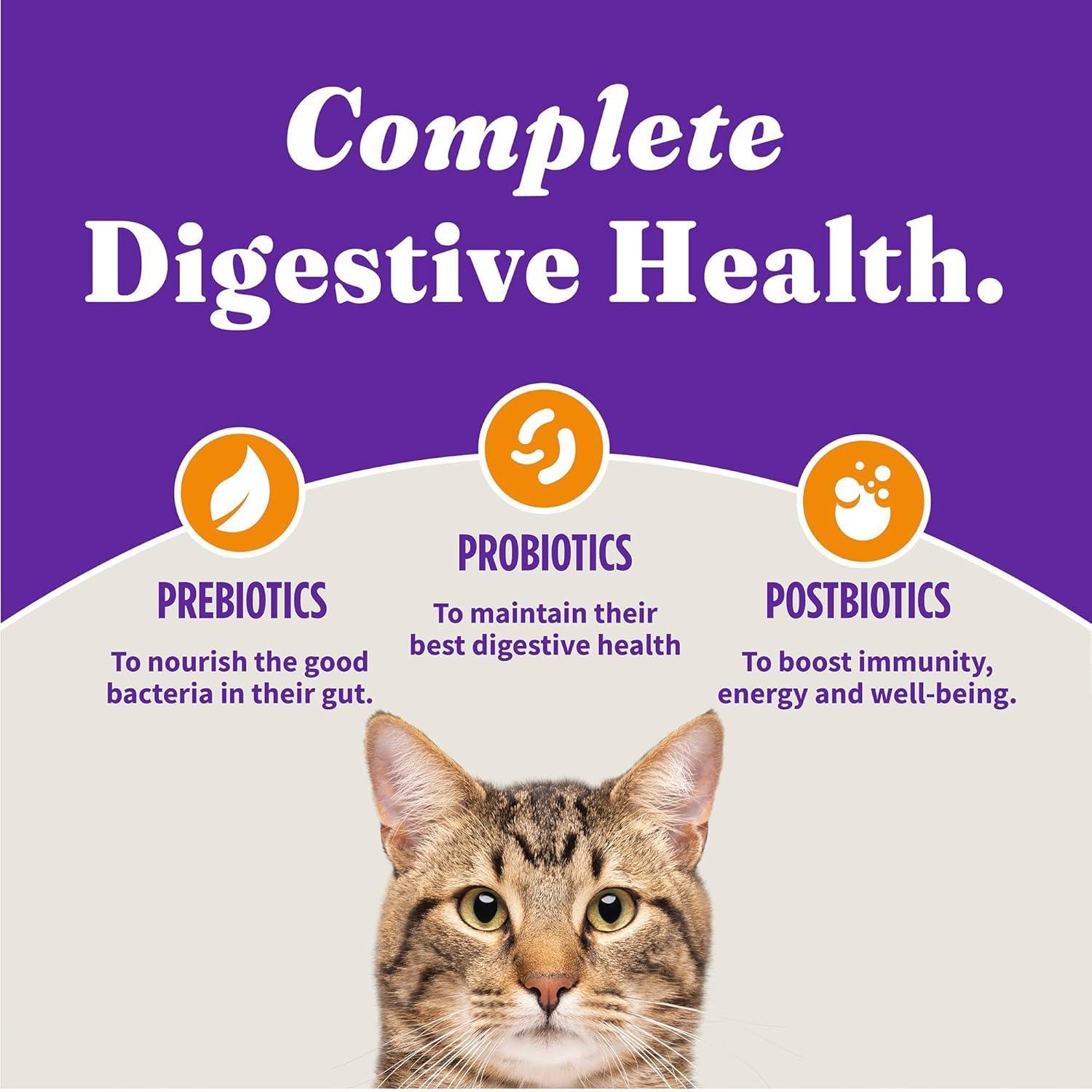 Halo Holistic Kitten Food, Cage Free Chicken Recipe, Grain Free Dry Cat Food, Complete Digestive Health, 6 lb Bag