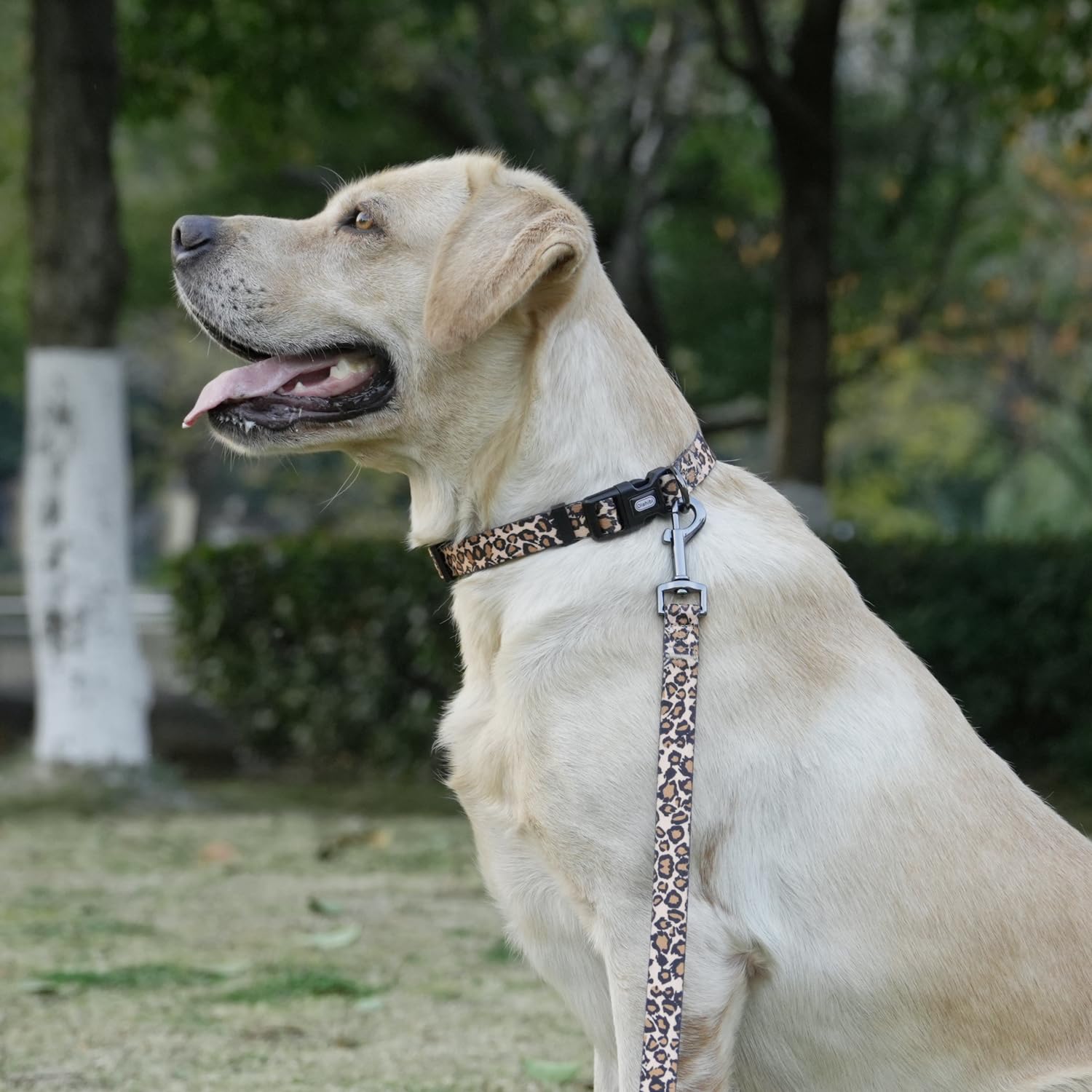 Olahibi Dog Collar Leash Set, Leopard Pattern, 5Ft Matching Leash, Polyester Material, 4 For Small Medium Large Dogs.(S, Brown L