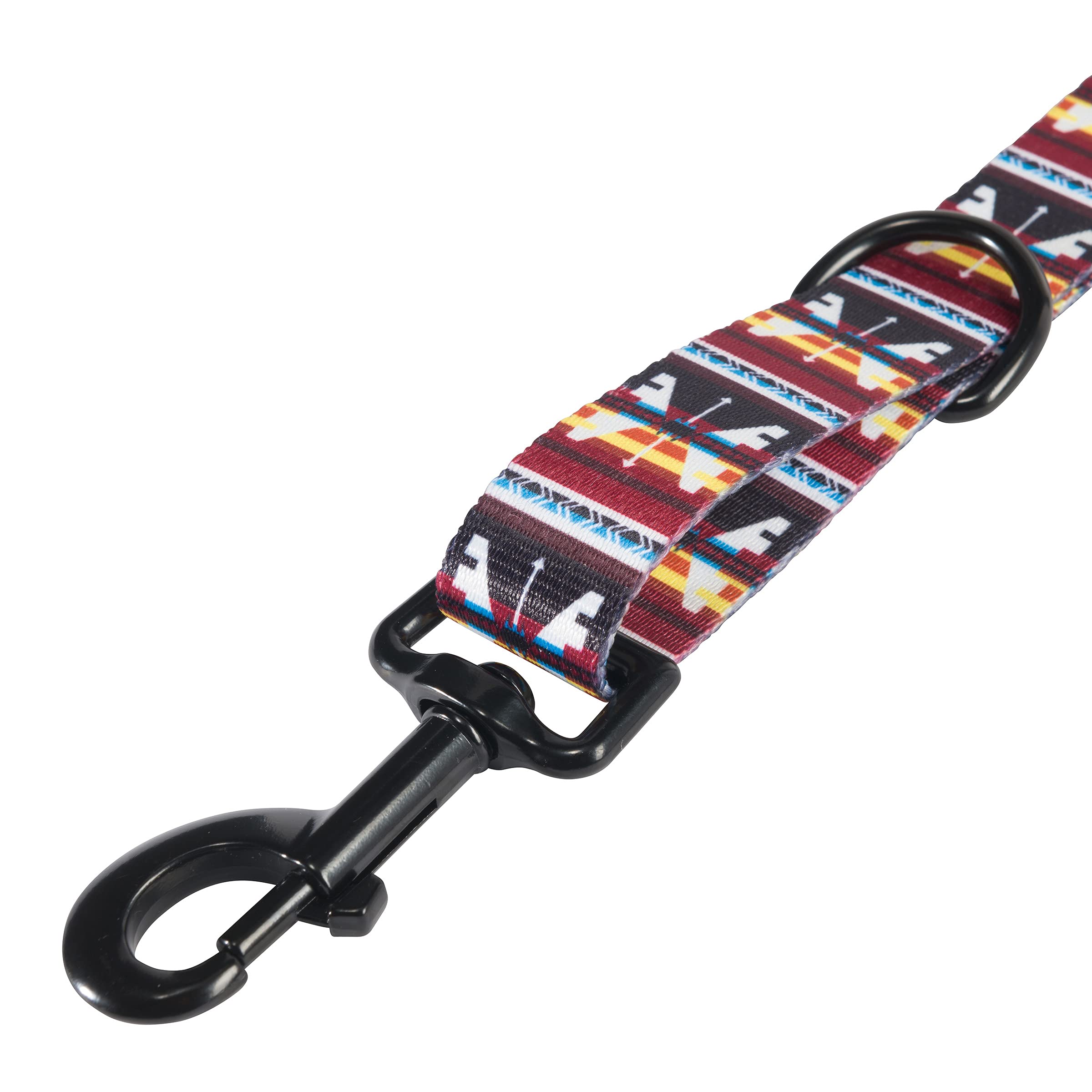 Hooey Nomad Dog Leash, Durable Polyester Webbing Leash With Graphic-Inspired Prints, Totem, 6'