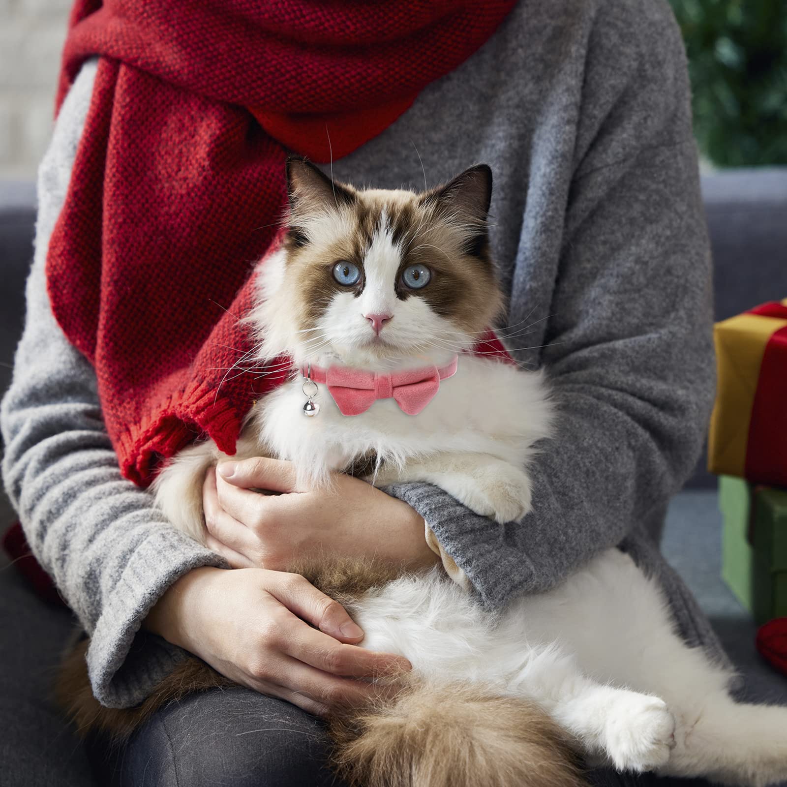 2 Pcs Velvet Cat Bow Tie Collar Breakaway Cat Collar With Bell Adjustable Bowtie Kitten Small Puppy Safety Collar Solid Color Se