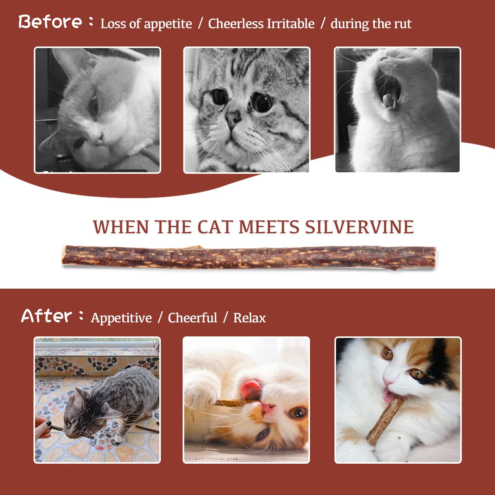Silvervine Sticks For Cats, 30Pcs Kitten Toys Catnip Toys Matatabi Silvervine Sticks Kitty Chew Toys Wooden Stick Kitten Teethin
