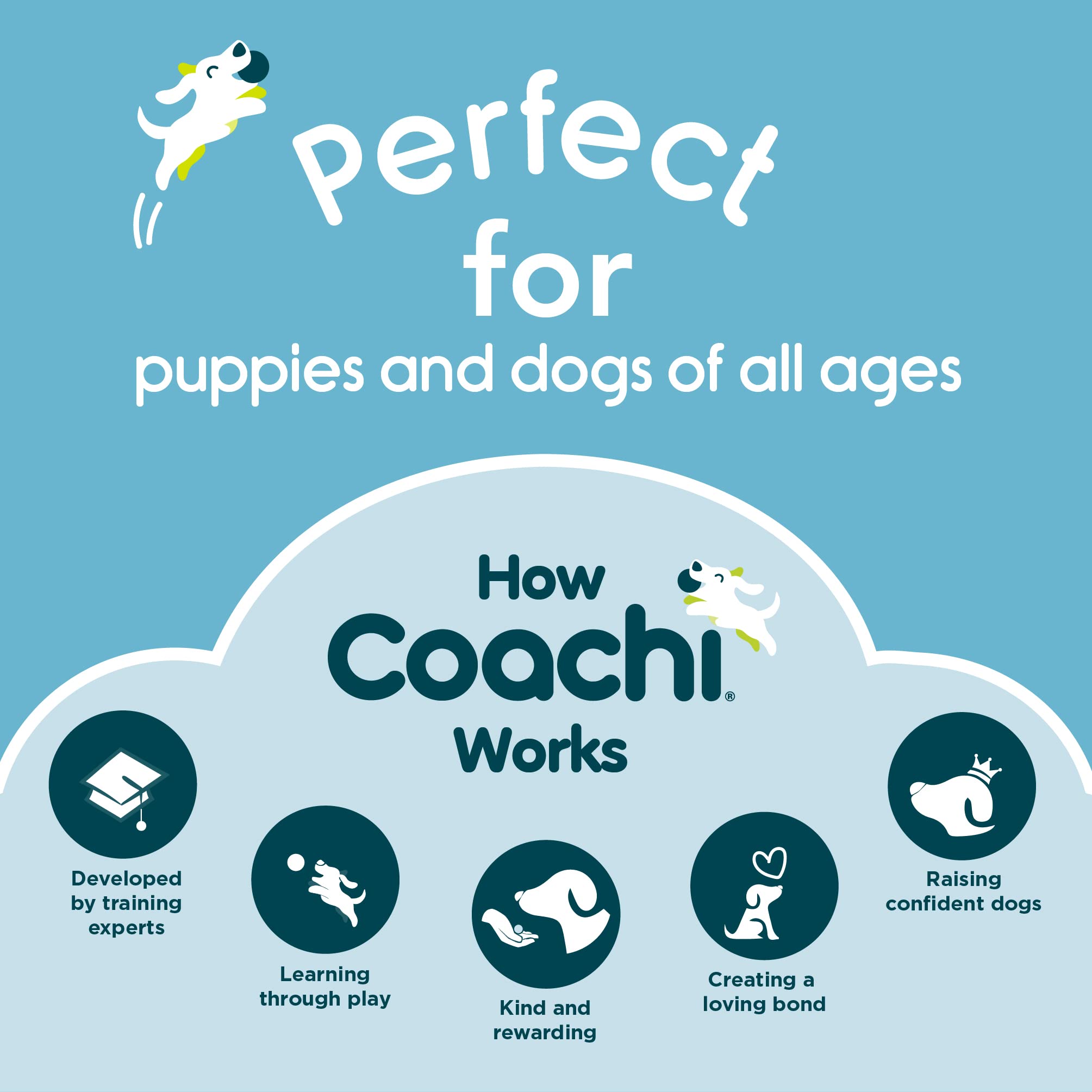 Coachi Training Line 10M Safe Training Outdoors, Recall Training, Dog And Puppy Socialisation, Lightweight, Soft To Hold, Perfect For Stopping Chasing, Suitable For Medium And Large Dogs And Puppies