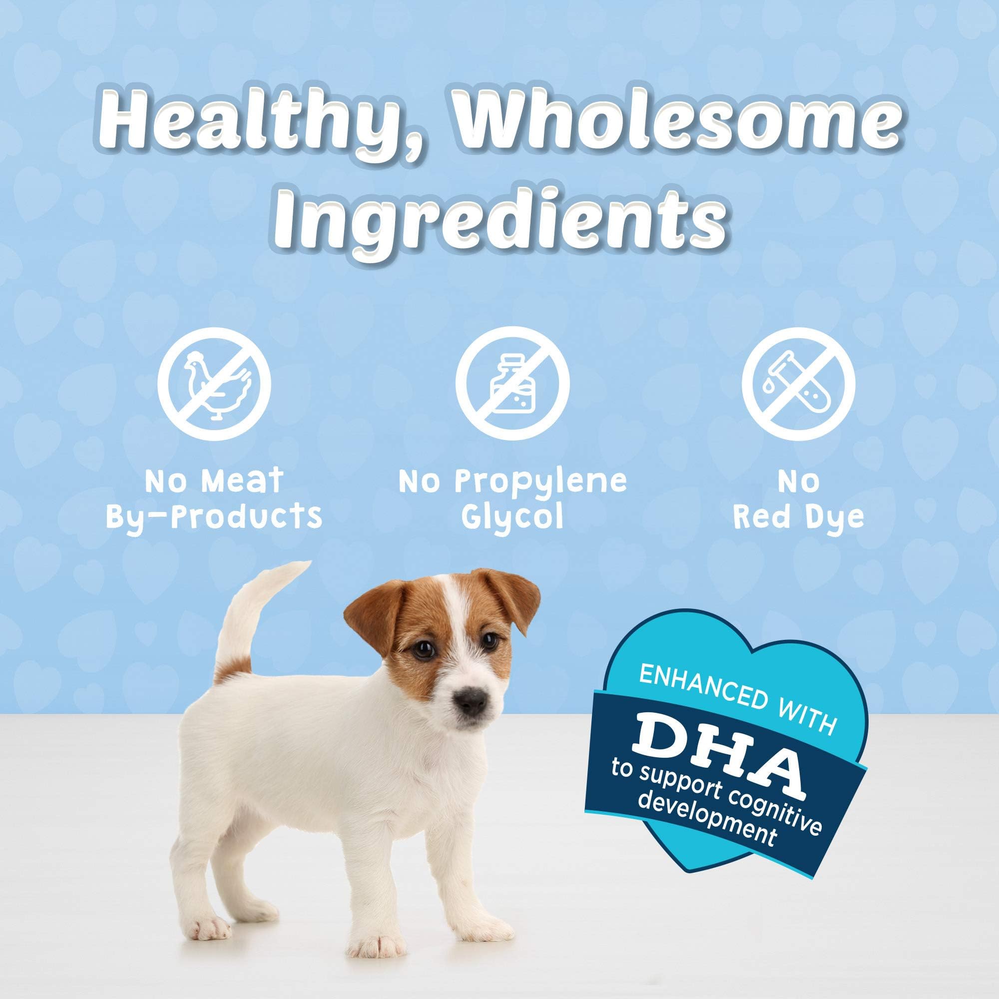 Blue Buffalo Bits Soft Dog Treats for Training, Made With Natural Ingredients & Enhanced with DHA, Turkey Recipe, 4-oz Bag