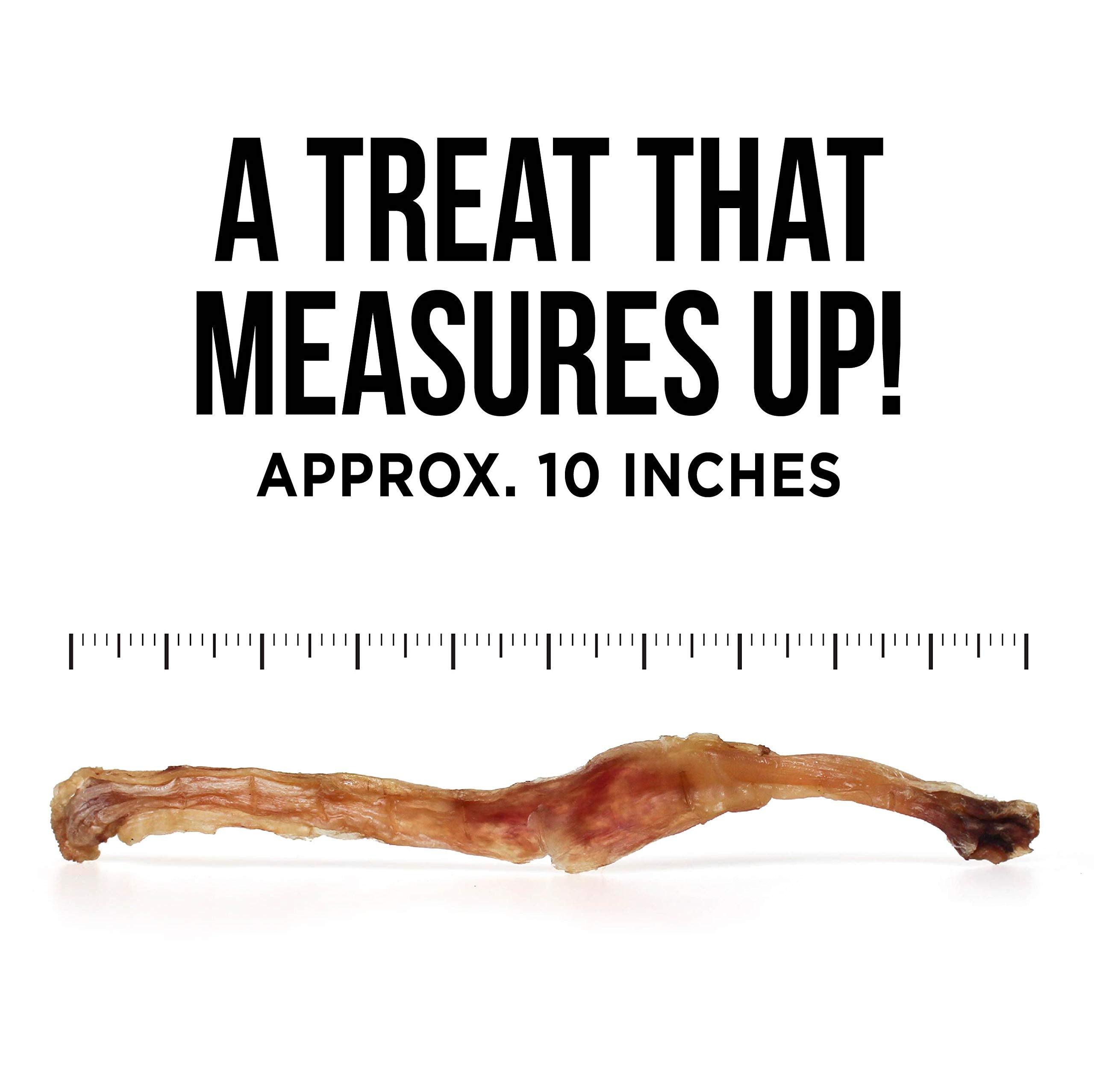 Natural Rapport Beef Tendon Dog Treats - The Only Beef Tendon Chews Dogs Need - All Natural Dog Treats for Small and Large Dogs