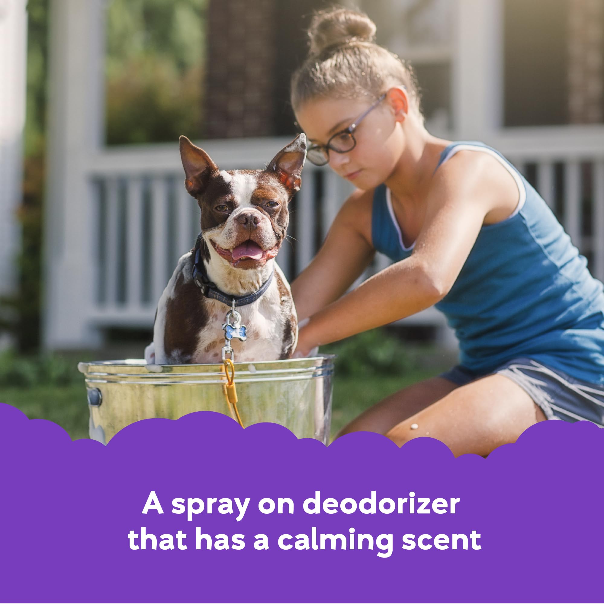 Buddy Splash Spritzer & Conditioner for Dog Grooming, Lavender & Mint, 16 oz. Bottle