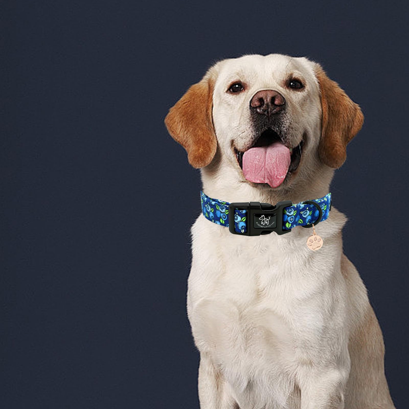 Elegant Little Tail Dog Collar-Cute Pet Dog Collar Blueberry Print Cotton Soft Boy Puppy Adjustable Pet Collars For Small Medium
