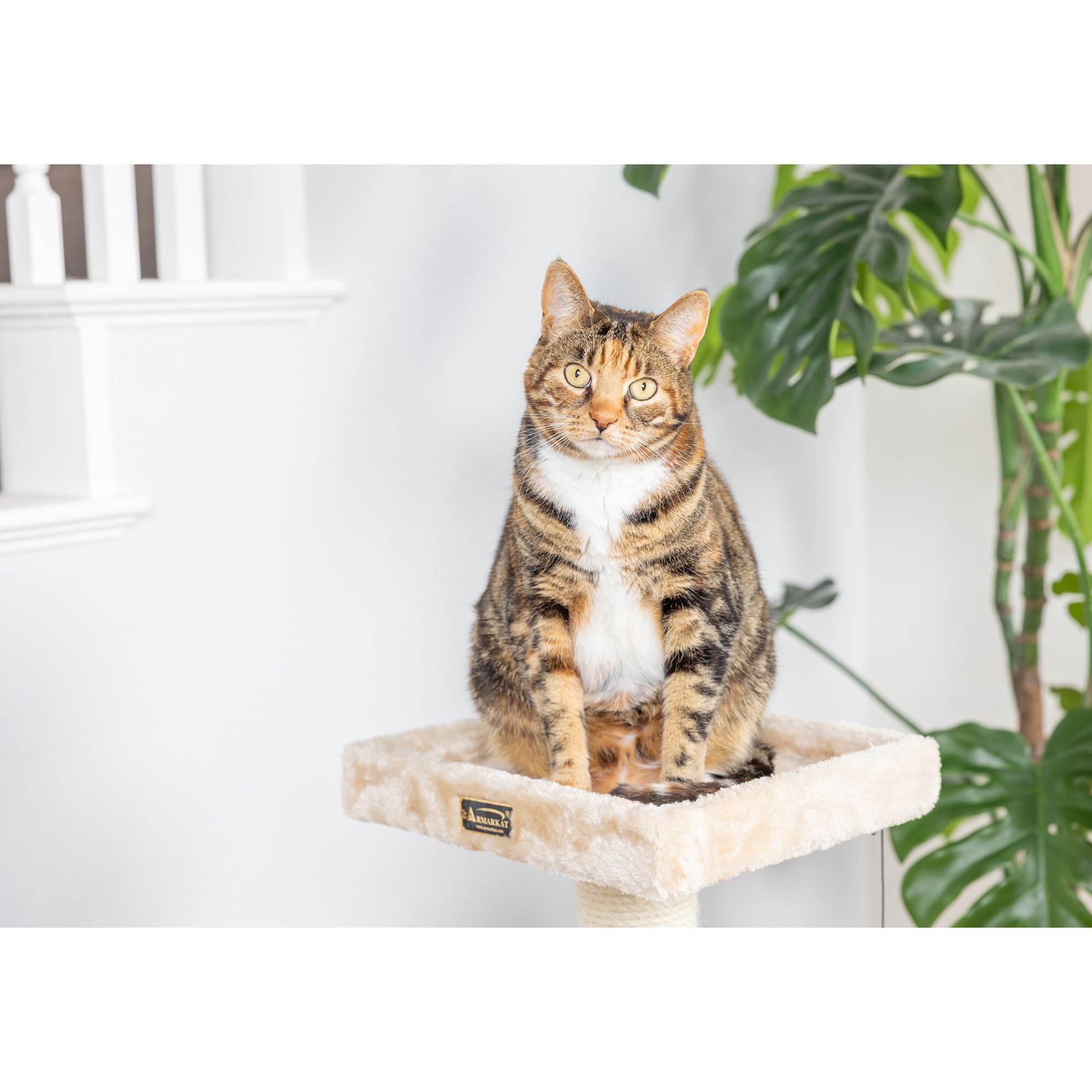 Armarkat Classic Real Wood Cat Tree A3207, Beige, 22' L X 17' W X 32' H
