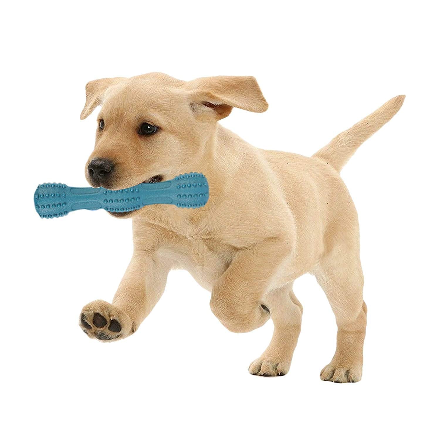Rvpaws Natural Rubber Teething And Training Chew Stick Squeaky Toy For Dog (Color May Vary)