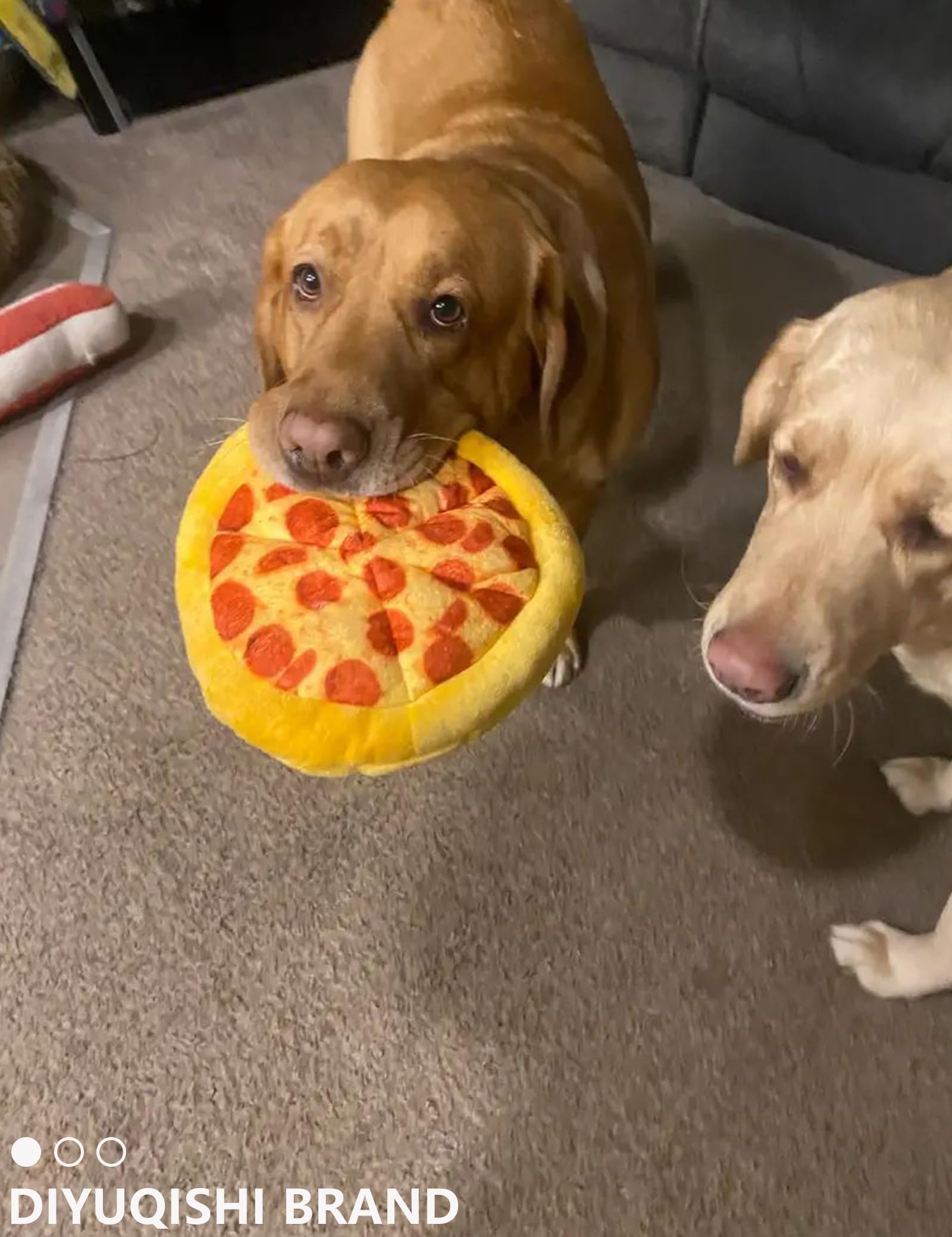 Diyuqishi Puppy Toys, Large Pizza, Practice Chewing And Cleaning Teeth For Small And Medium Breed Sizes (9.5'', Deluxe Puppy Toy