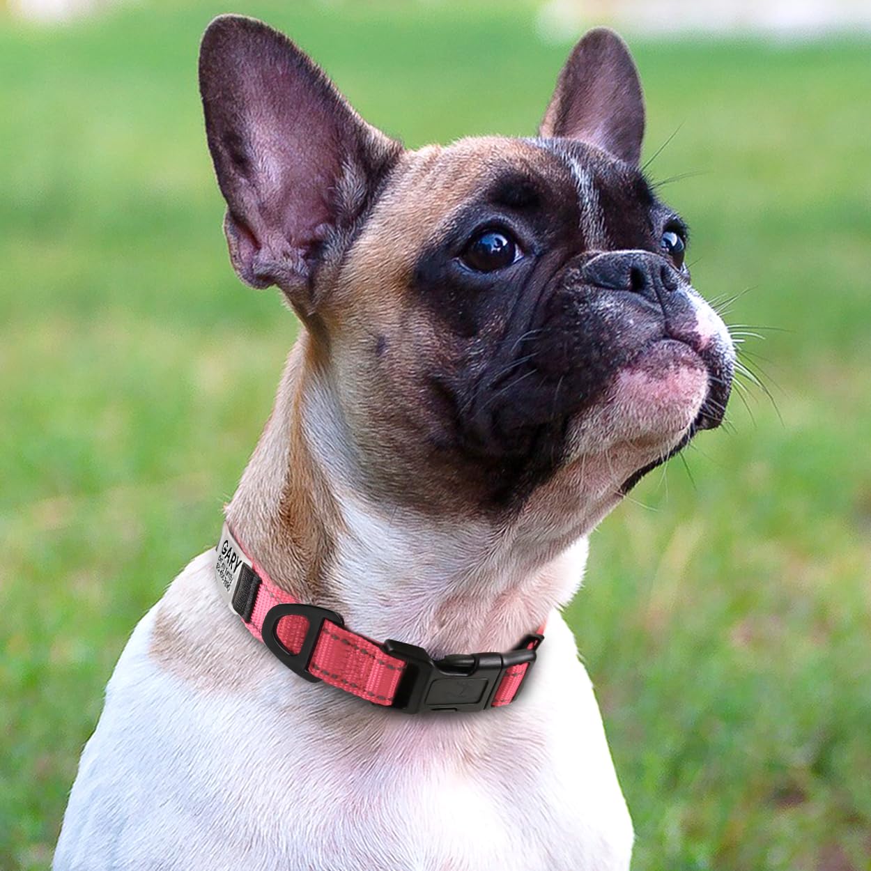 Joytale Personalized Dog Collars, Reflective Nylon Dog Collar With Engraved Name Plate, Customized For Small Dogs, Pink, S